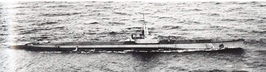 Navy submarine USS Sealion