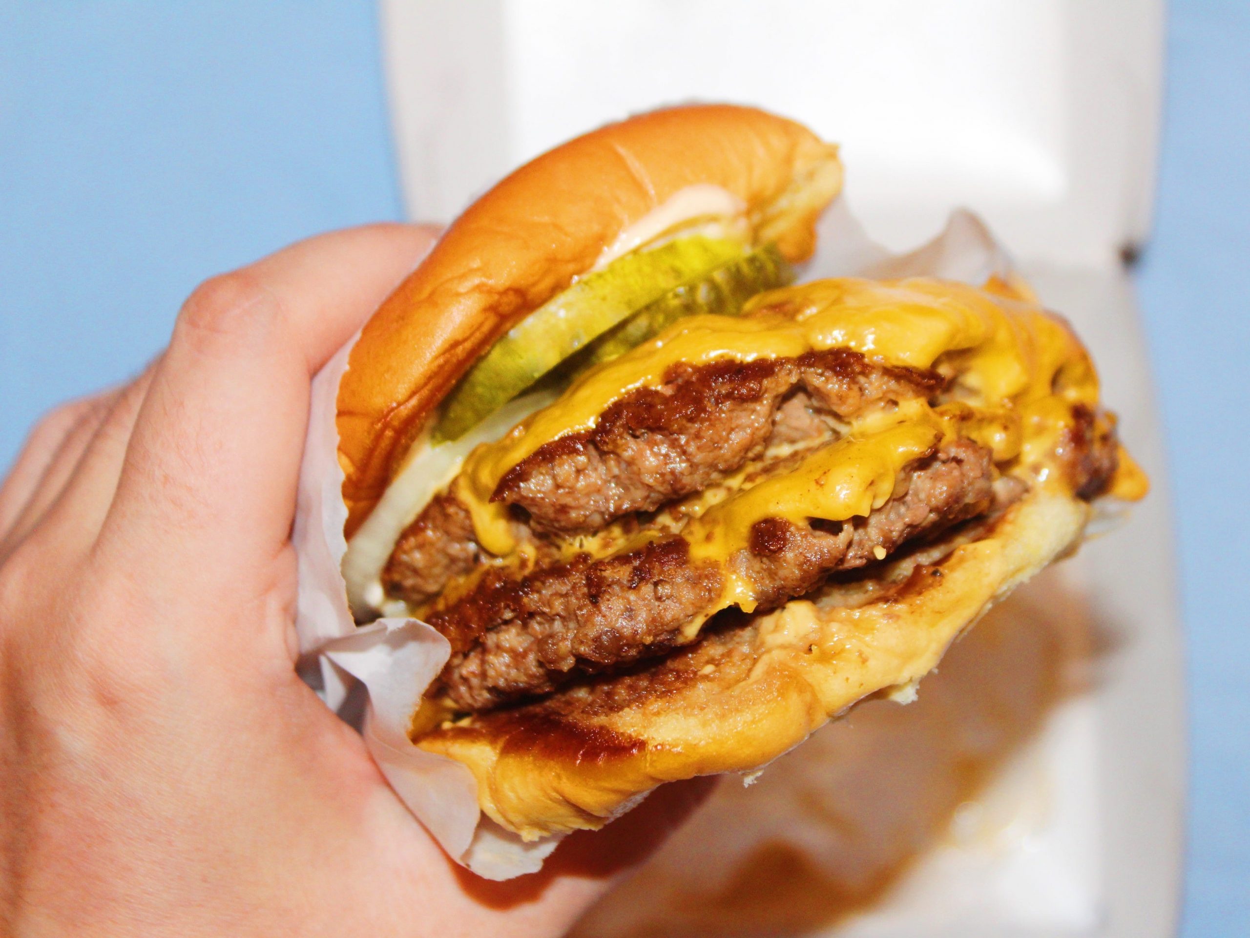 shake shack double cheeseburger in paper wrapping on blue background