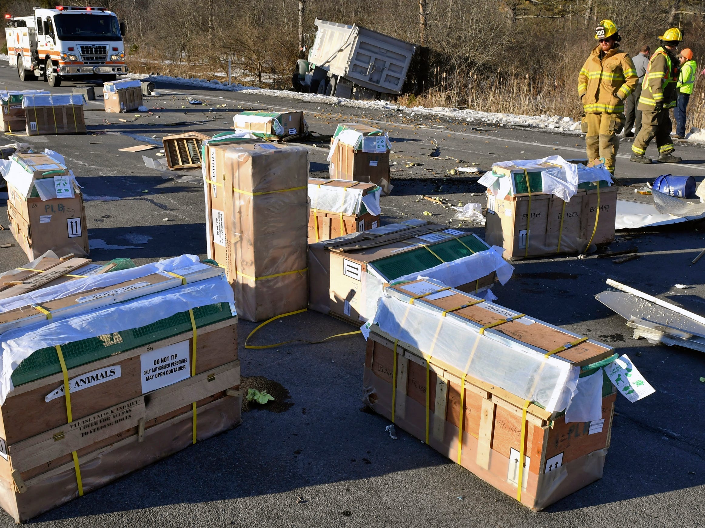 Crash scene in Pennsylvania where 100 monkeys escaped.