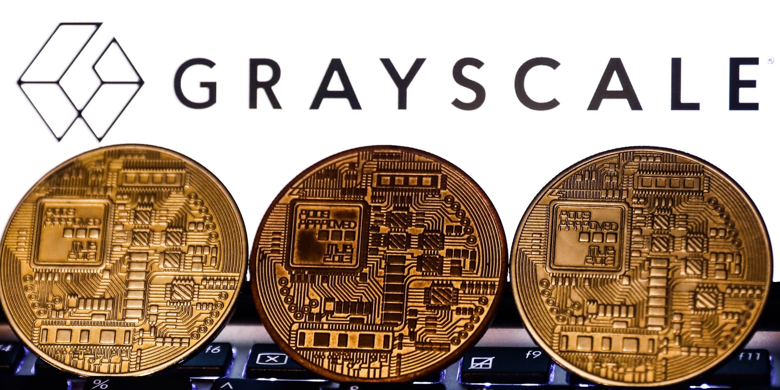 Representation of cryptocurrency and Gayscale logo displayed on a phone screen are seen in this illustration photo taken in Poland on November 6, 2021.