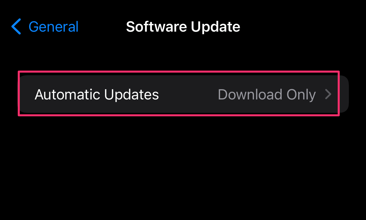 Tap on Automatic Updates.