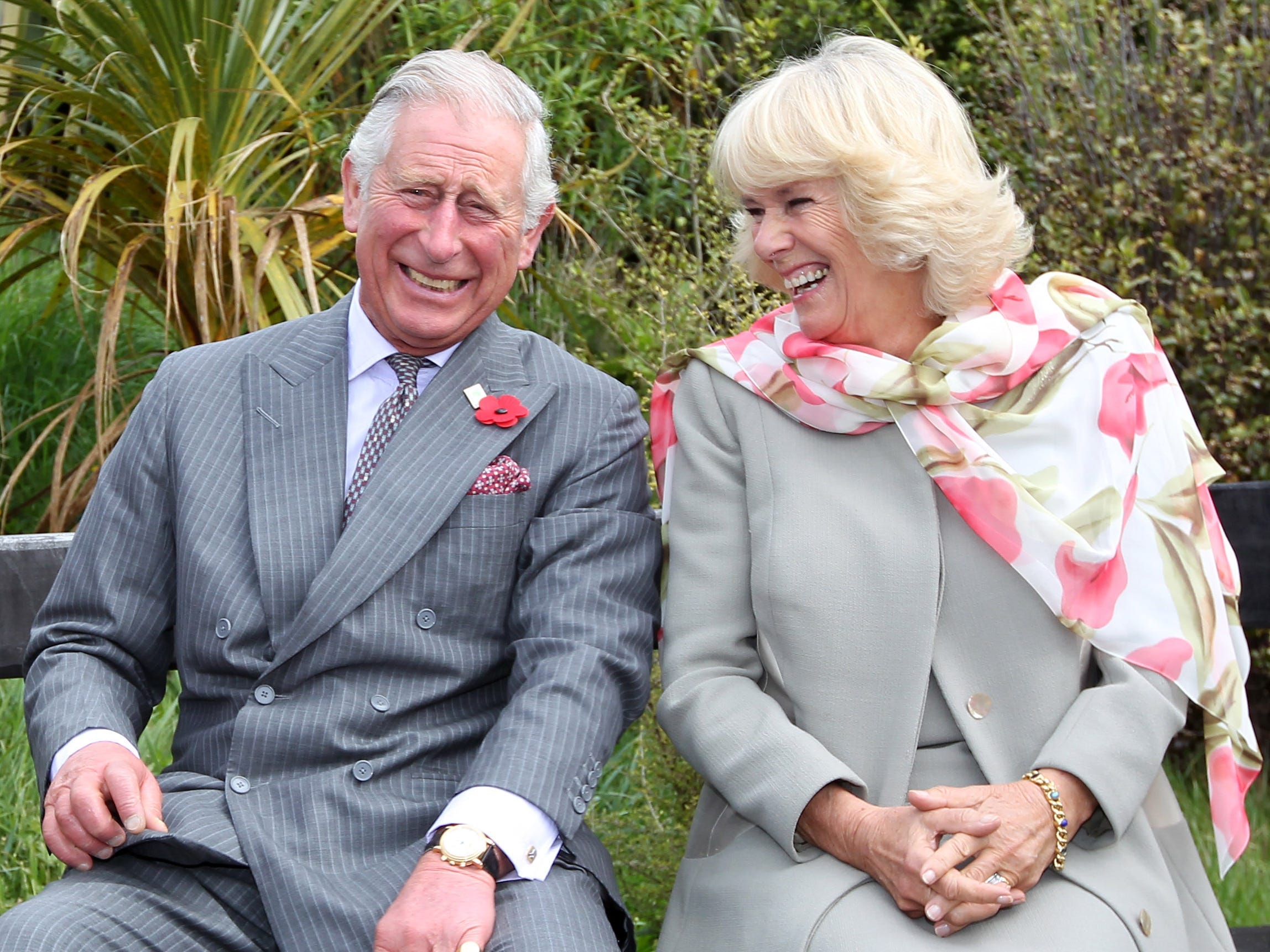 Prince Charles, Prince of Wales and Camilla, Duchess of Cornwall continue to laugh after a bubble bee took a liking to Prince Charles during their visit to the Orokonui Ecosanctuary on November 5, 2015 in Dunedin, New Zealand. The Royal couple are on a 12-day tour visiting seven regions in New Zealand and three states and one territory in Australia.