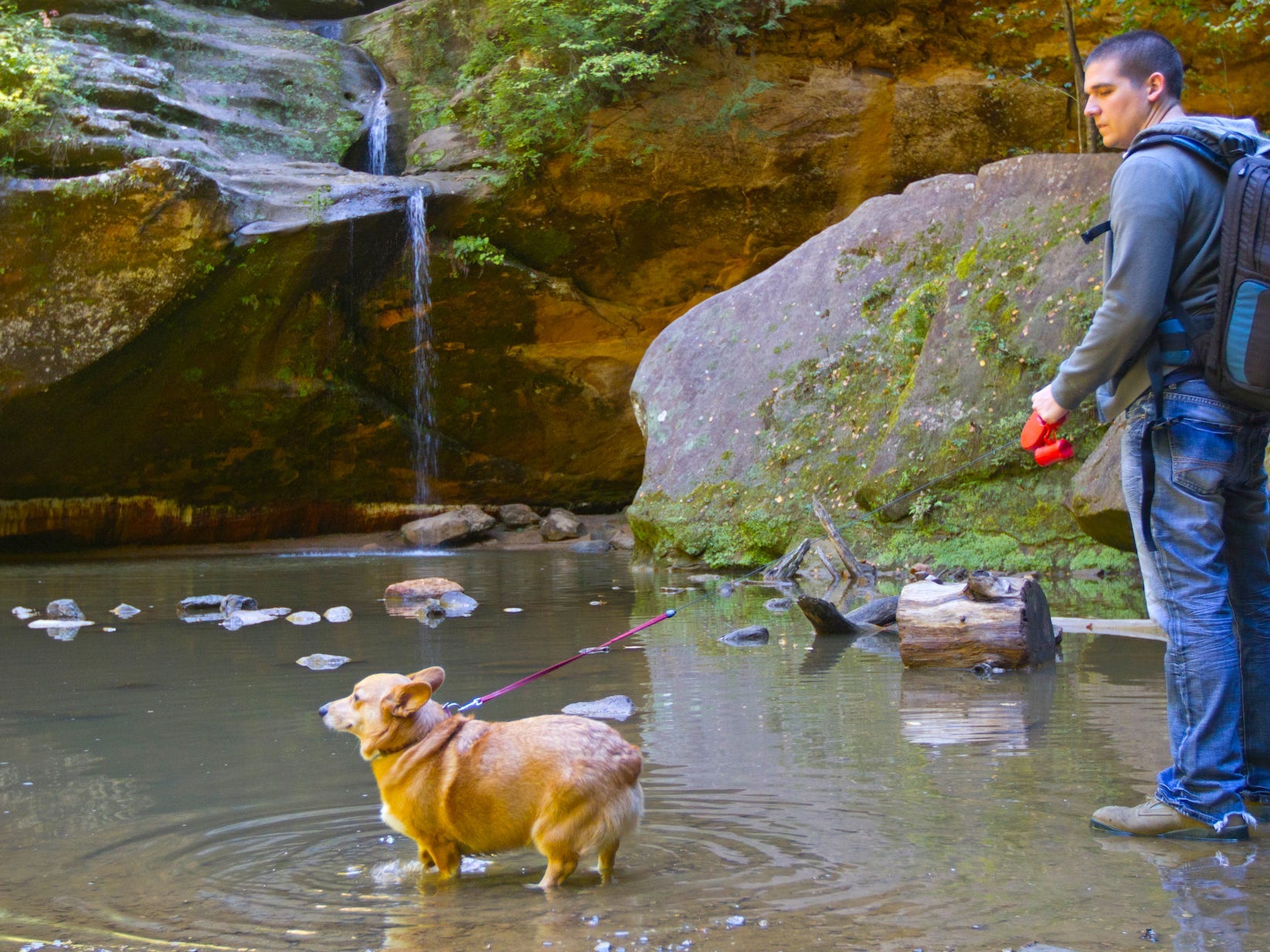 A man wearing hiking gear looks at his a dog who is on a leash wading in water in a natural environment.