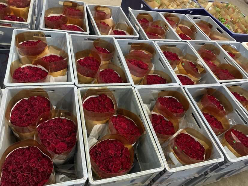 roses packed up for Valentine's Day