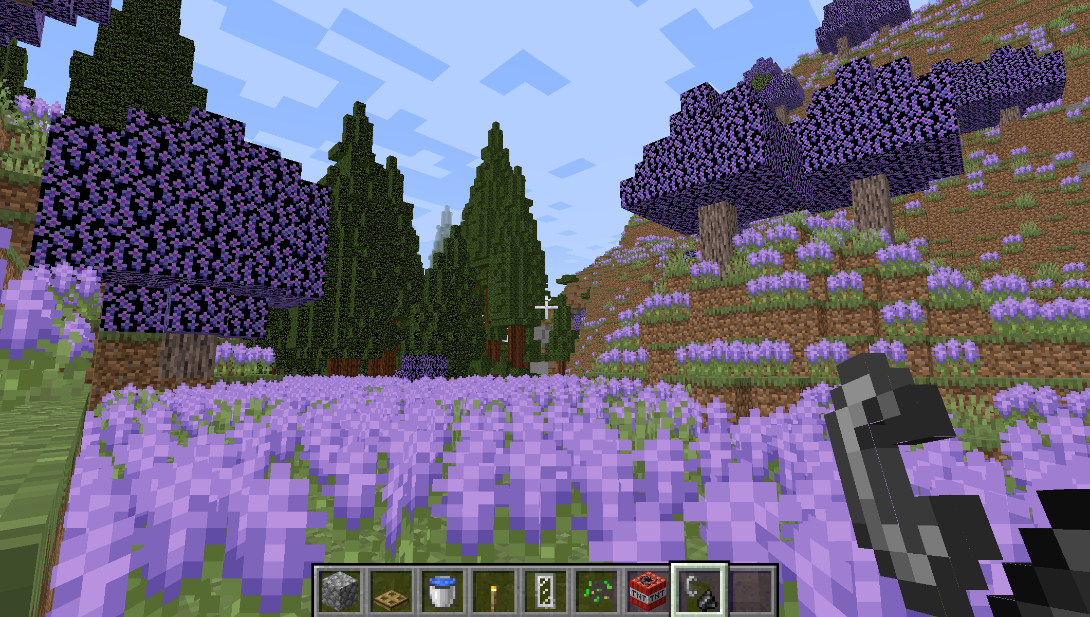 A screenshot from Minecraft, showing a redwood forest and lavender garden growing next to each other with the Biomes O' Plenty mod.
