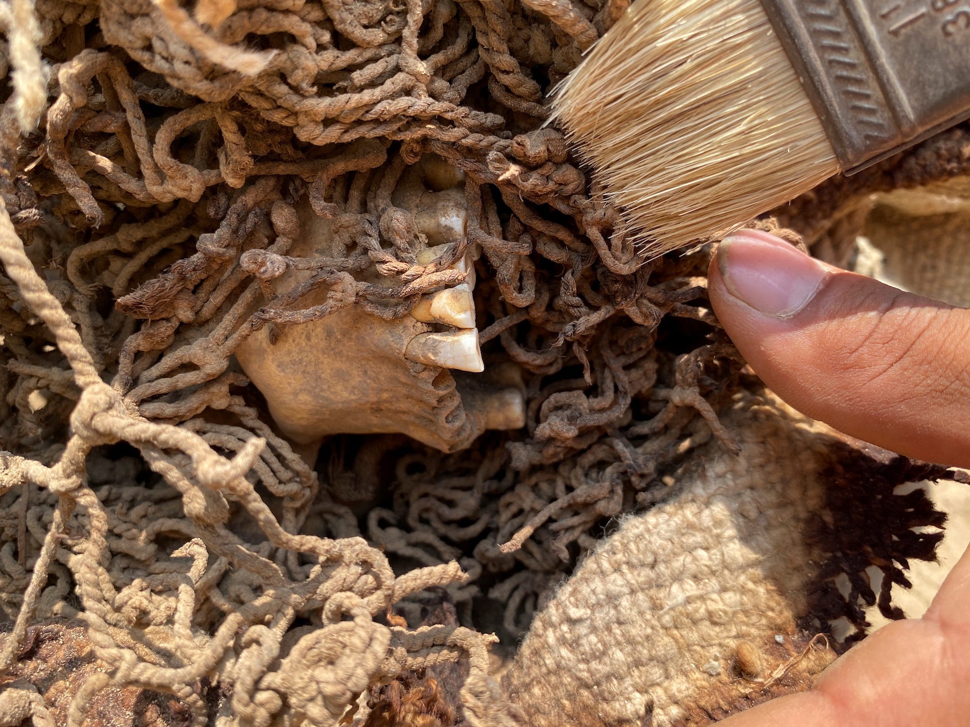 The teeth of a pre-Incan mummy in Cajamarquilla, Peru, are shown next amogn ropes next to an archeologists' brush.