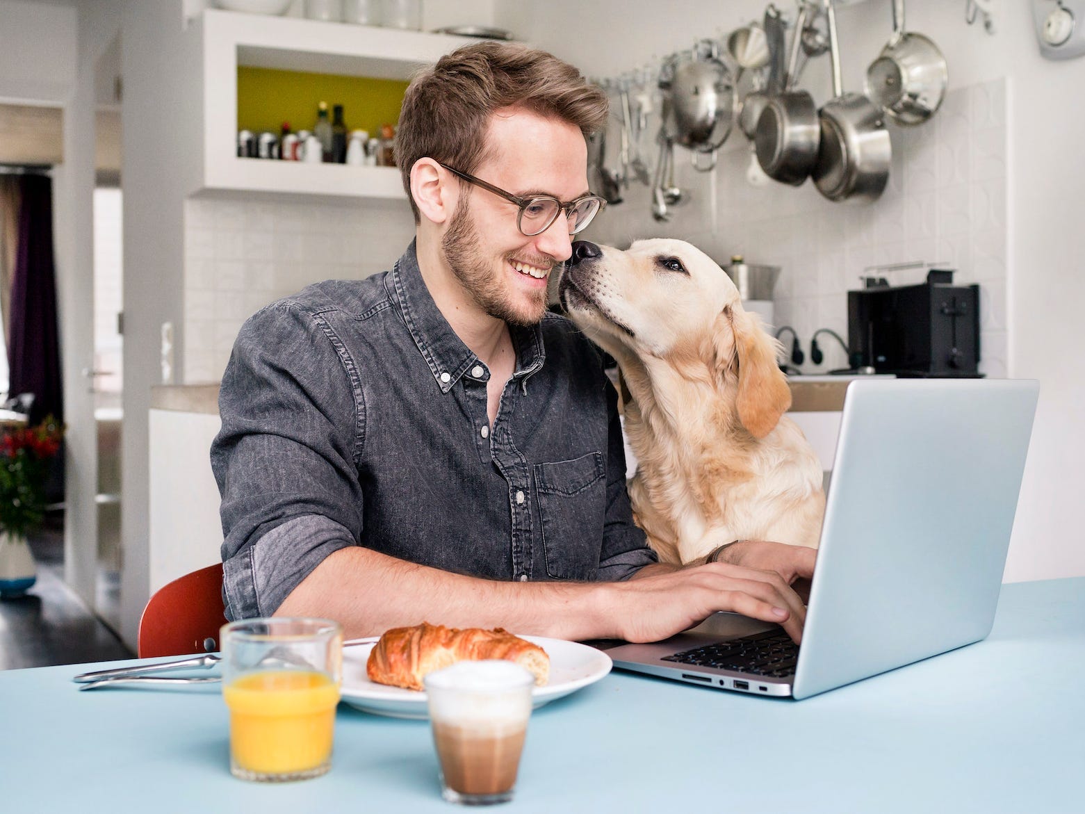 A man is working on his laptop in his kitchen at home. A dog is also next to him.