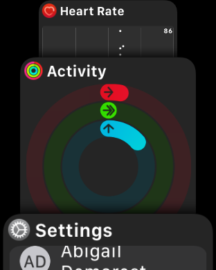 Apple Watch Dock screenshot