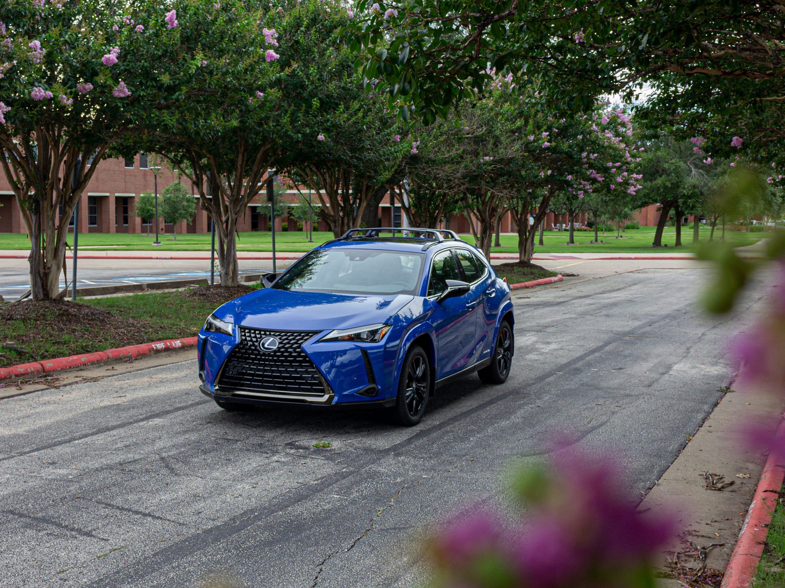 A blue Lexus UX 250h.