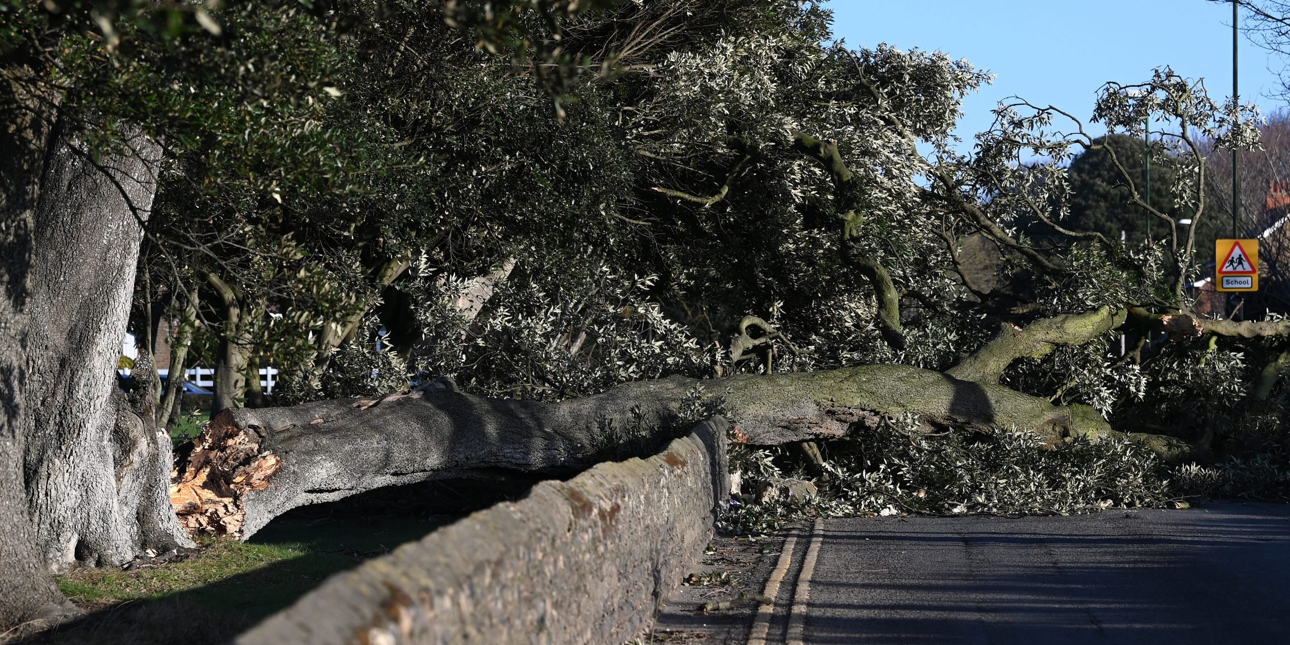 A fallen tree blocks a road on February 19, 2022 in Southwick, England.