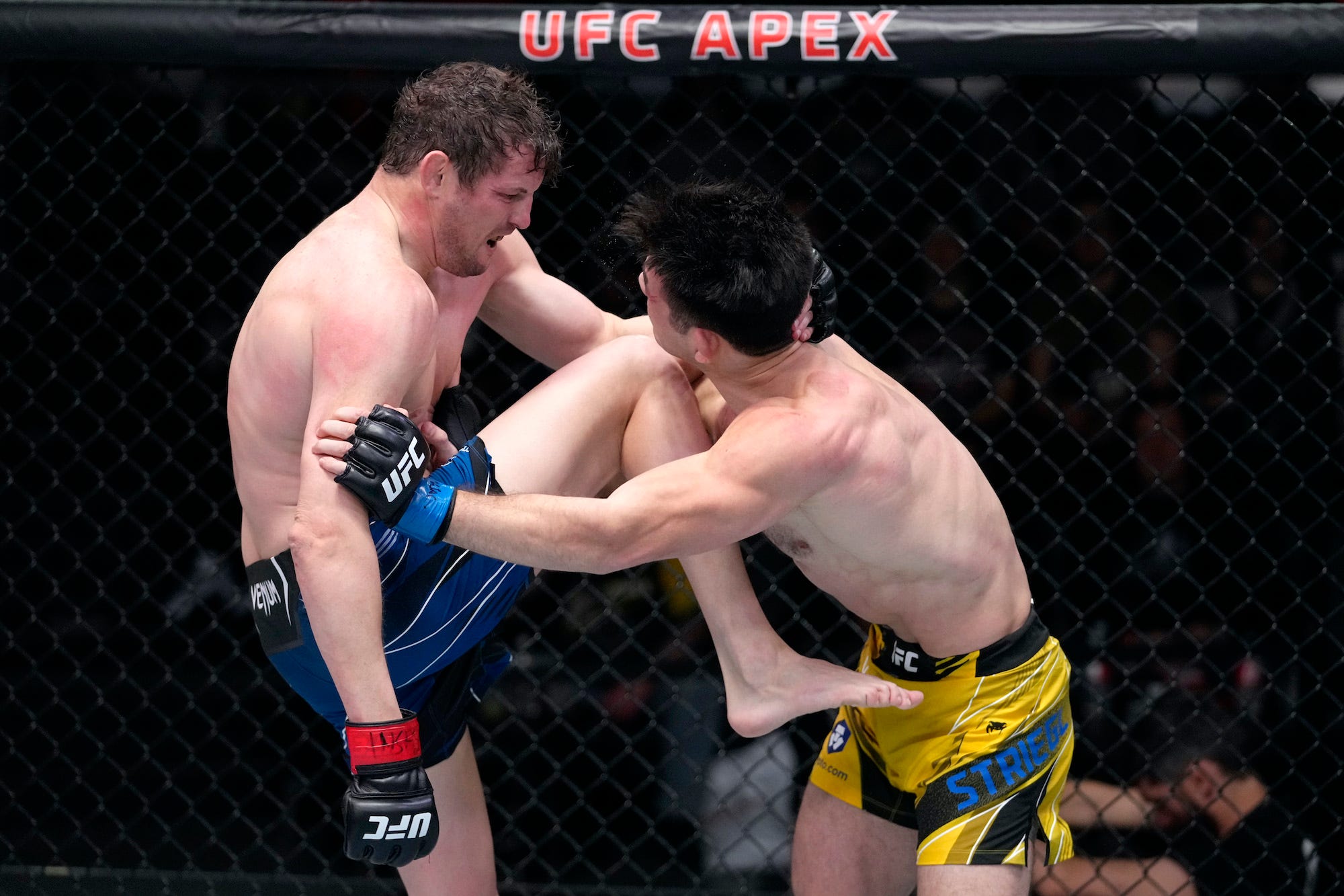 Chas Skelly won by knockout in what could have been his last fight ever.