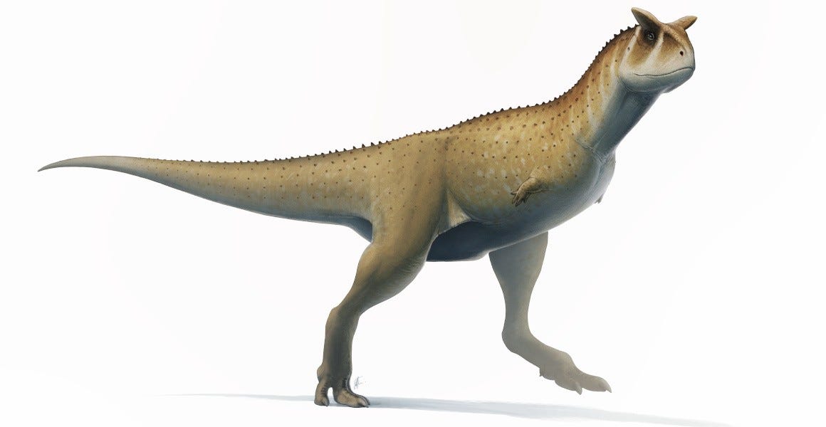 dinosaur with small vestigial arms illustration Carnotaurus sastrei
