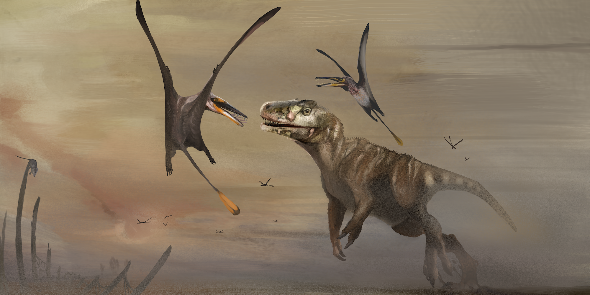 An artist representation of two pterosaurs fighting a meat-eating dinosaur in the Jurassic peroid.