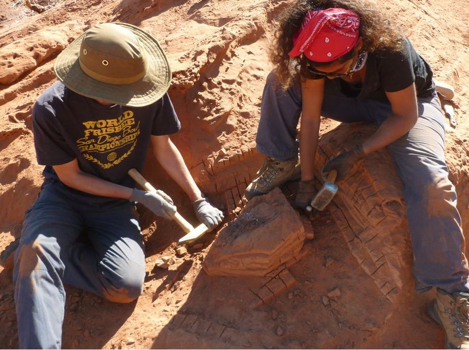 two paleontologists in the desert chip away a rock with mallets