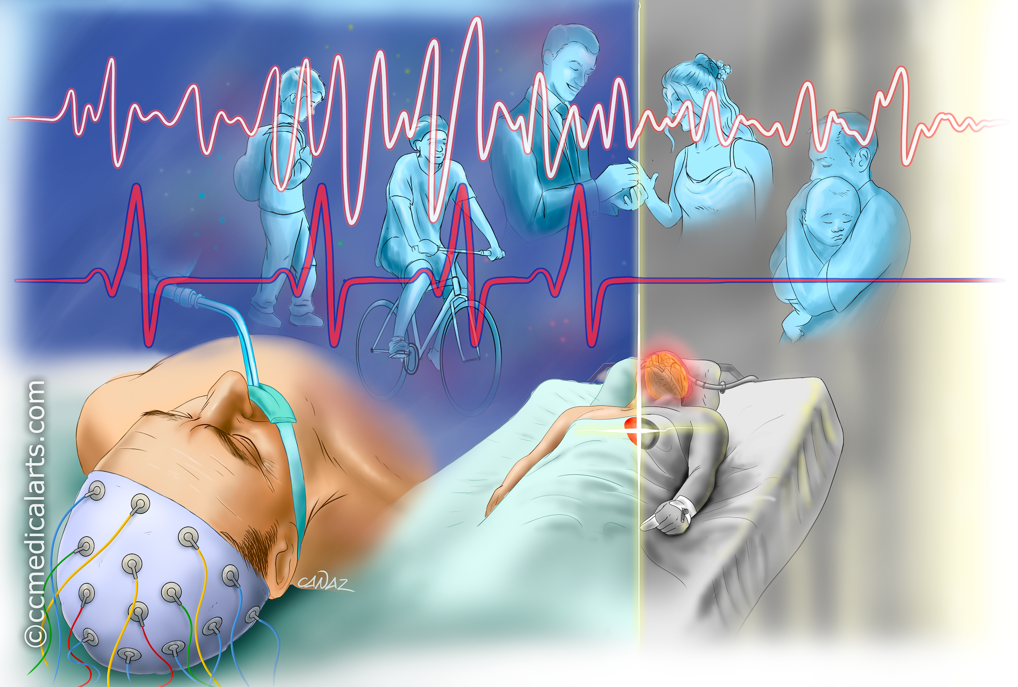 Heart beat brain scan dreaming illustration