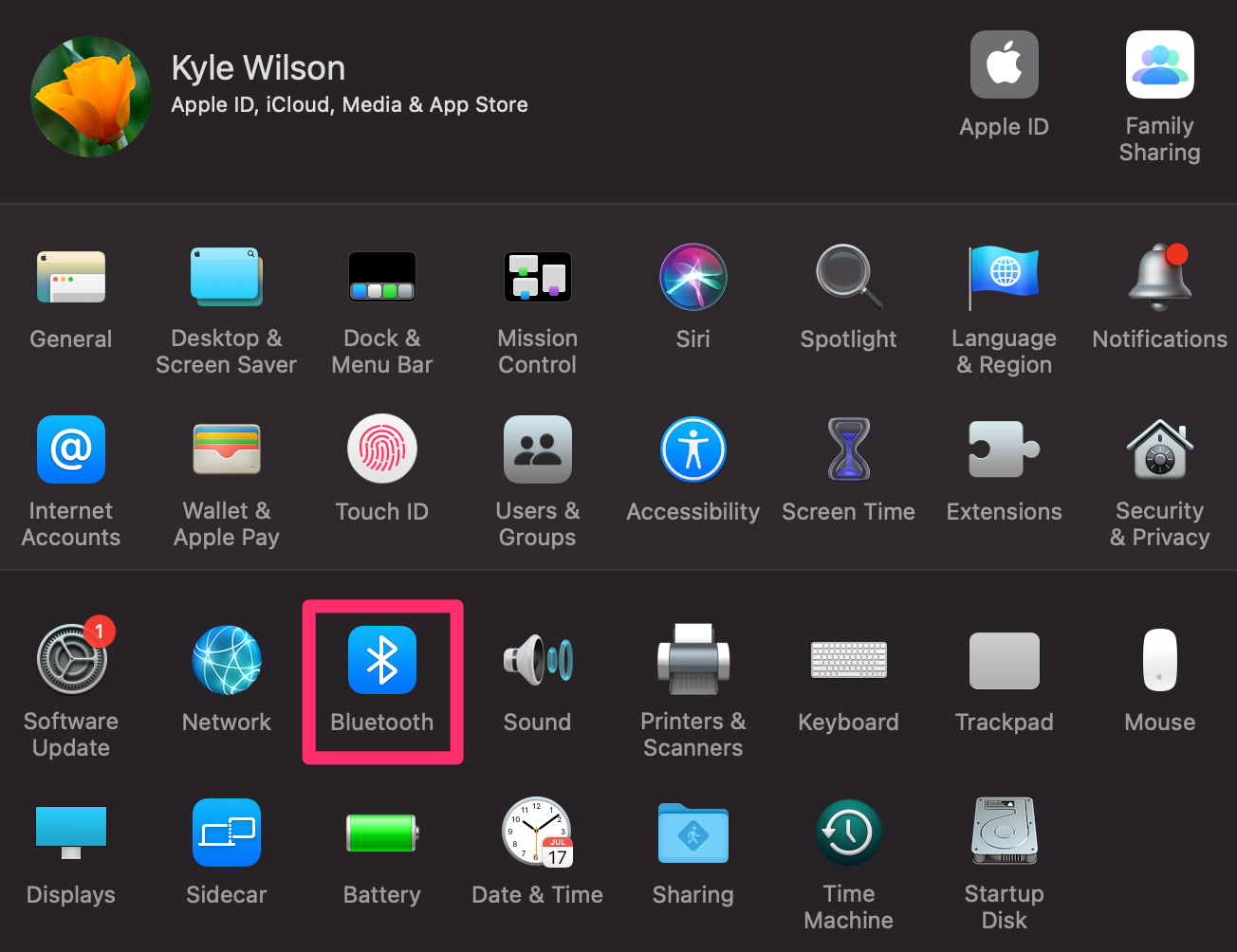 Screenshot of the System Preferences menu with the Bluetooth option highlighted.