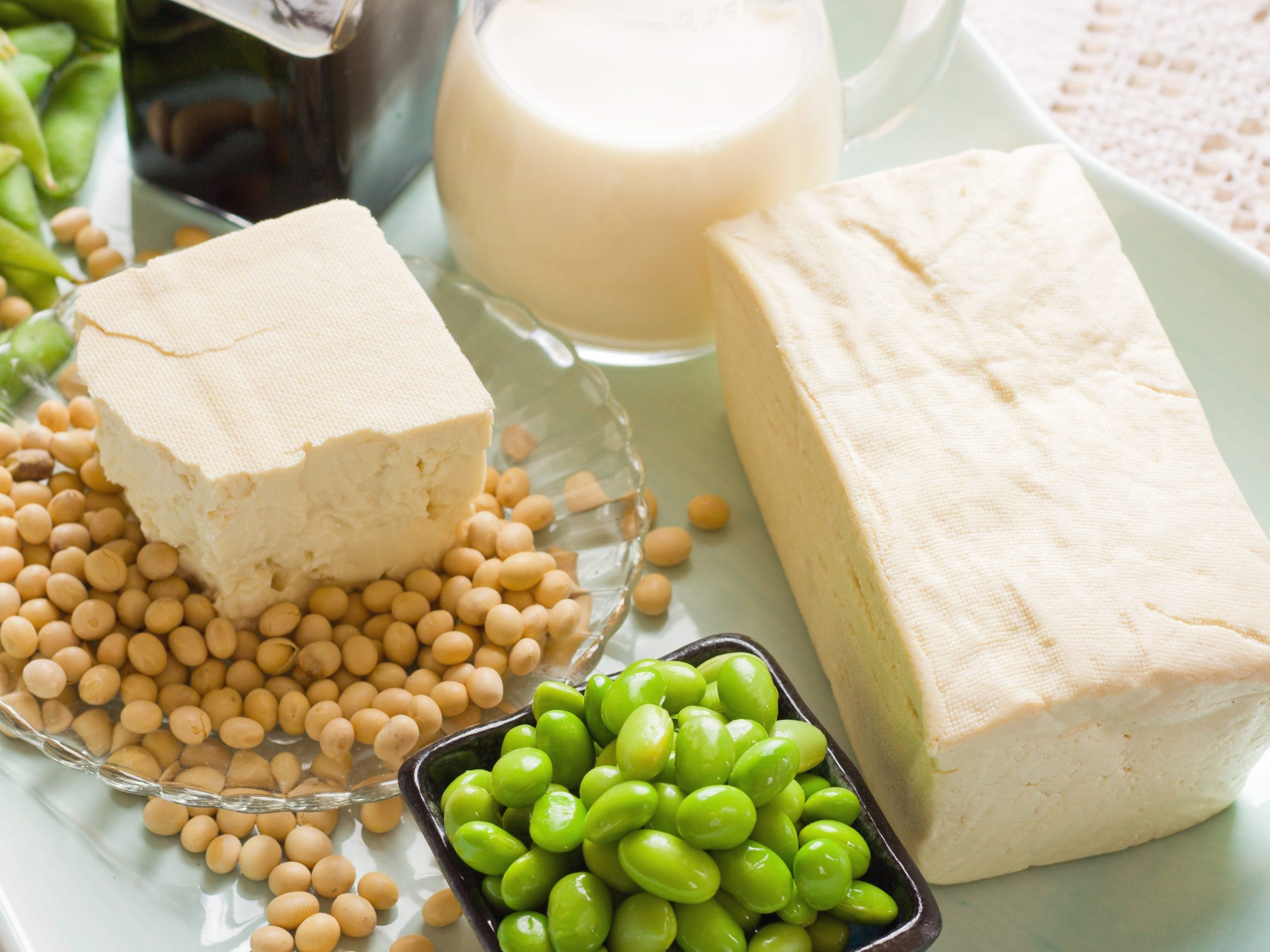 Tofu blocks with soy beans and edamame as food styling props