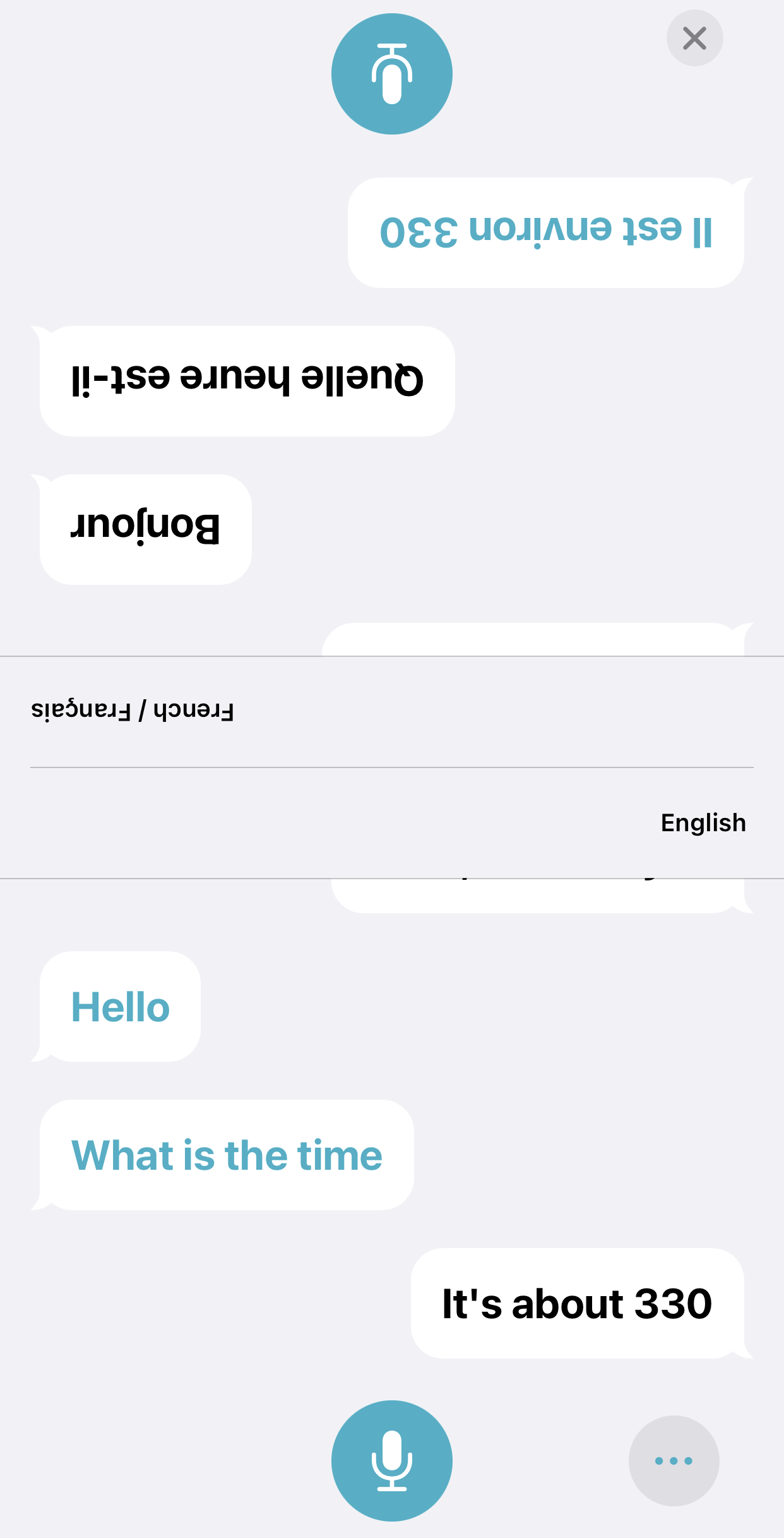 Translate app on iOS