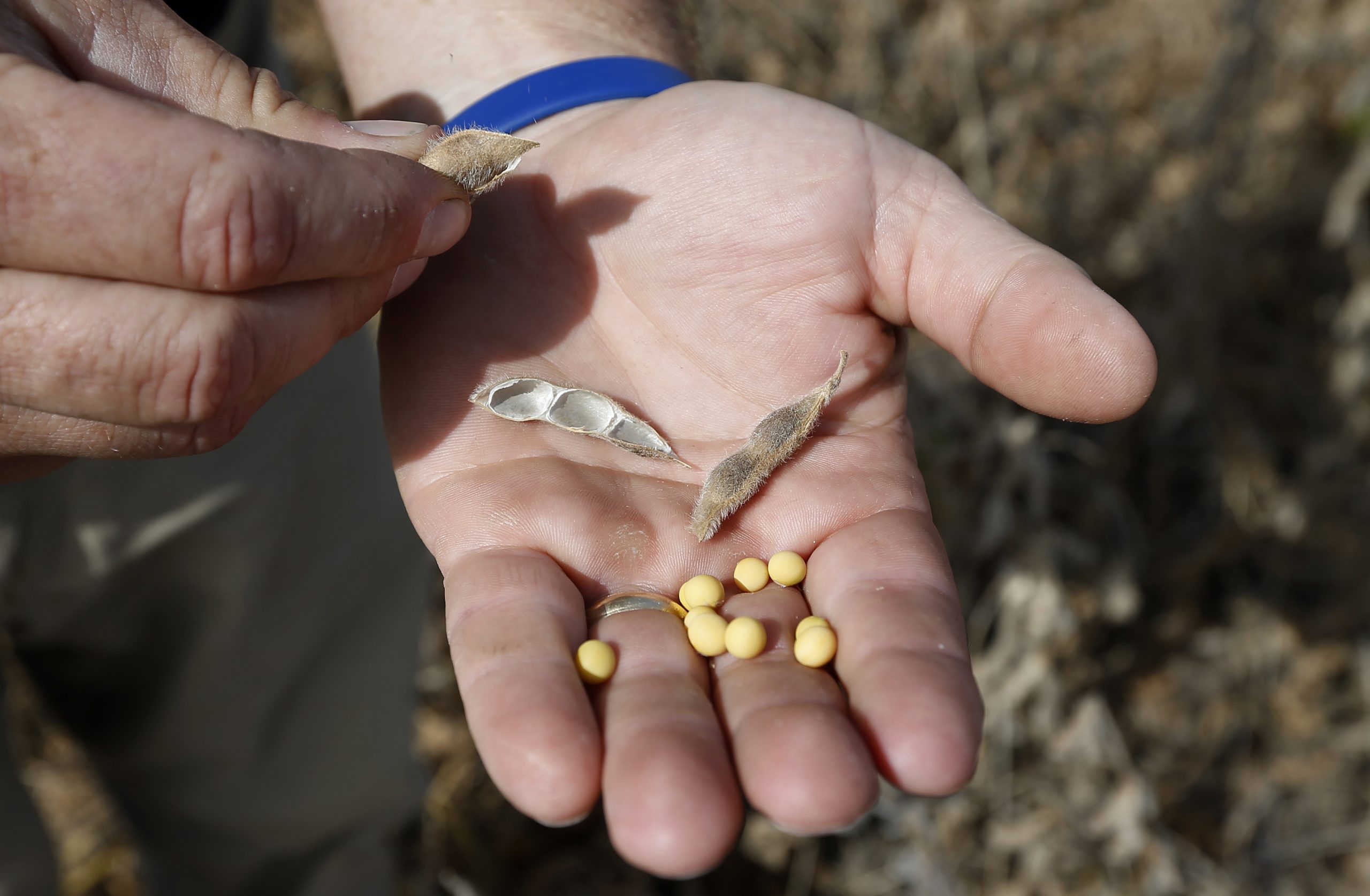 Veel sojaproducten zijn terug te vinden in de Schijf van Vijf. Foto: REUTERS/Willy Kurniawan