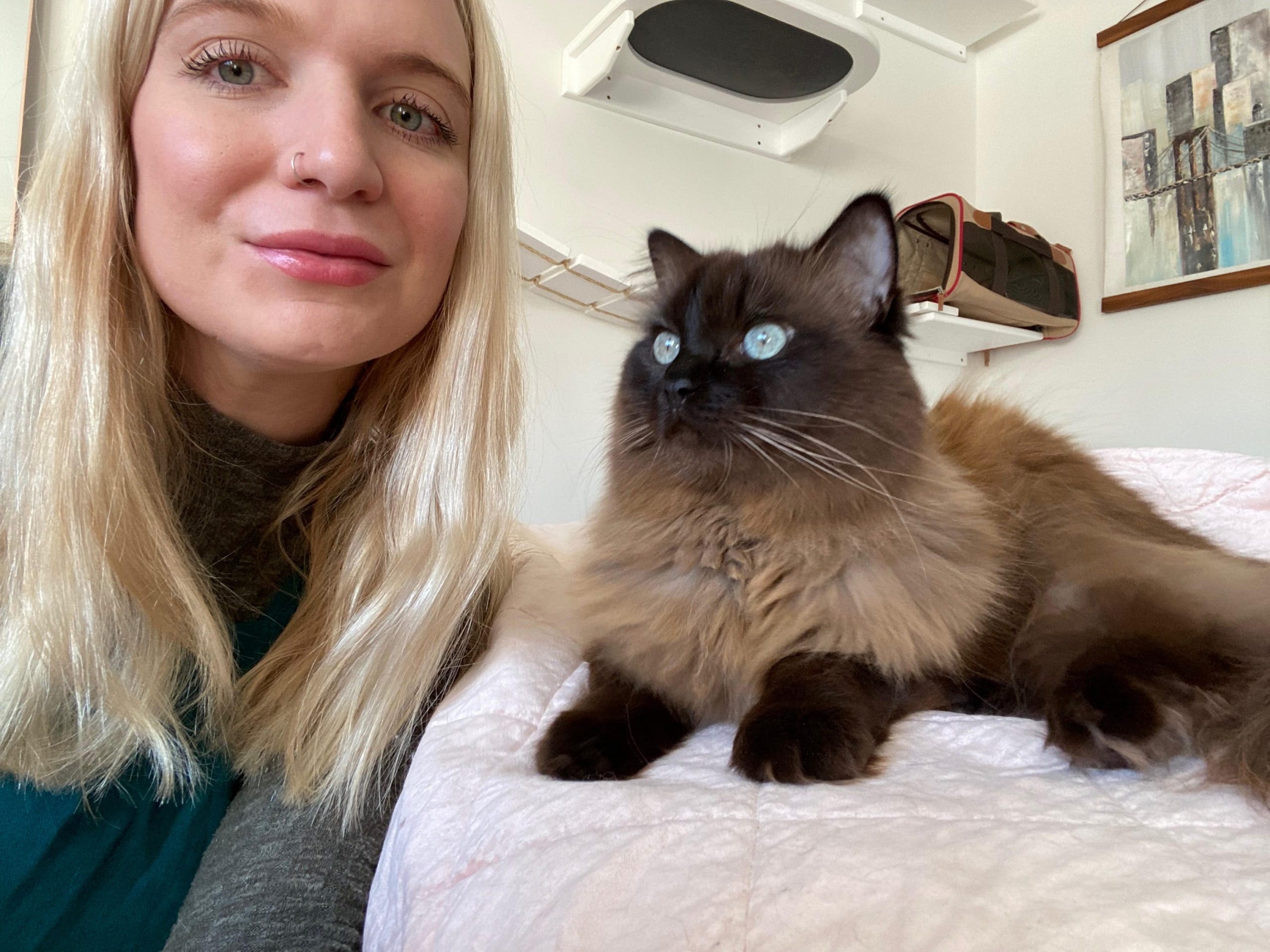 Madolline Gourley with one of the cats from her recent pet sitting trip around the US.