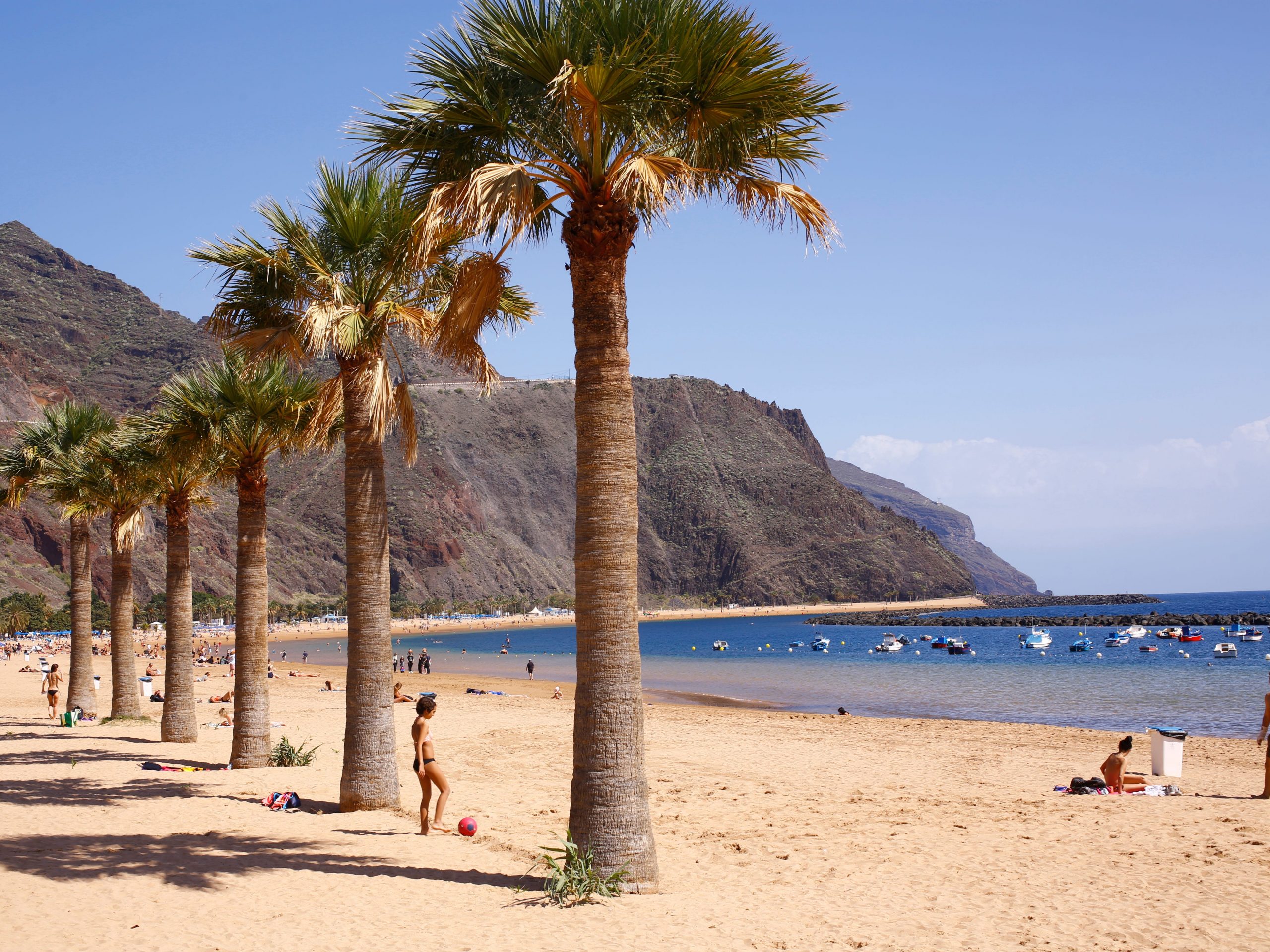 A line of tall palm trees on a sandy beach.