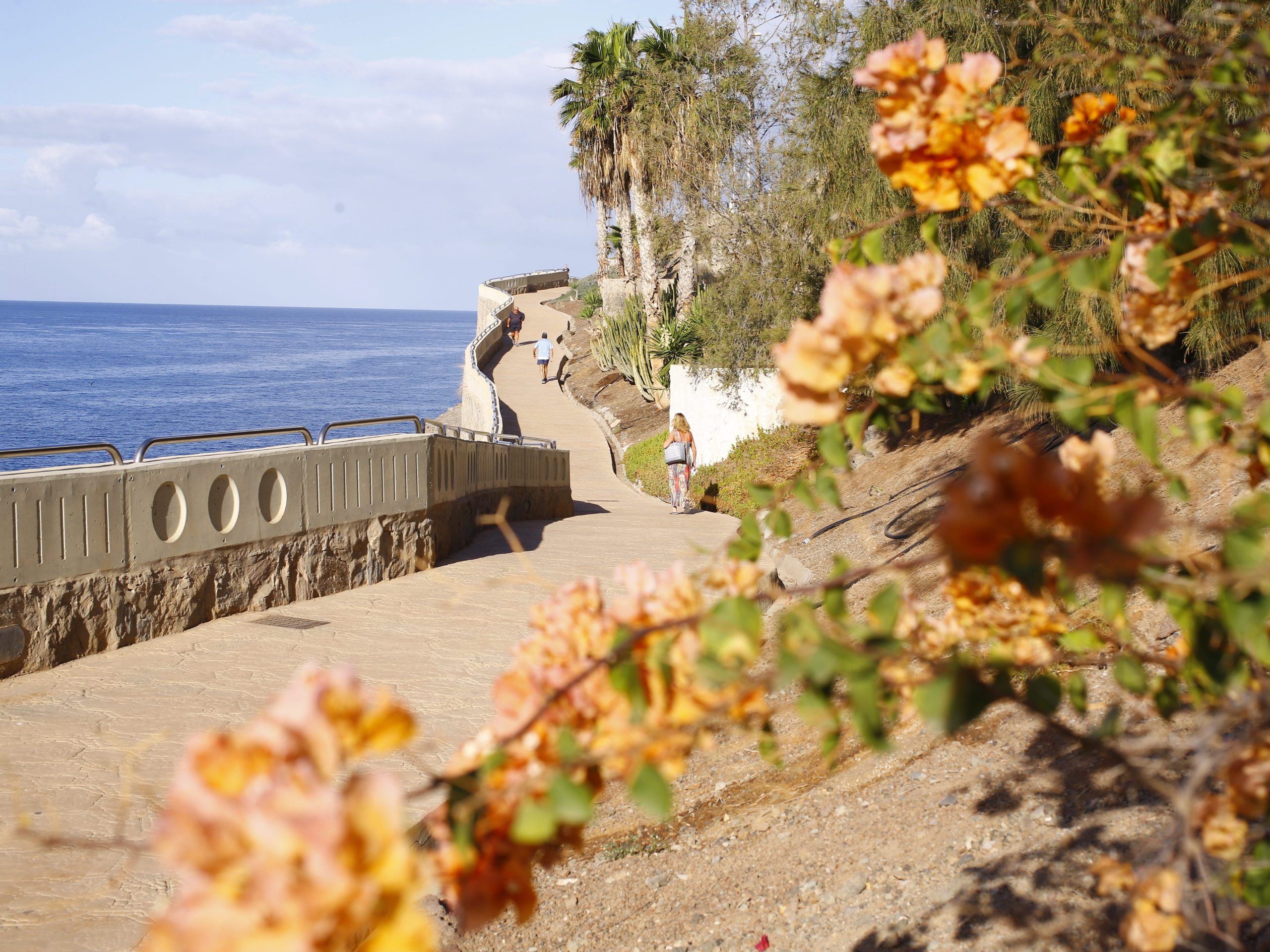 A people walking on a paved path in a forested cliff overlooking a beach with flowering vines in the foreground.