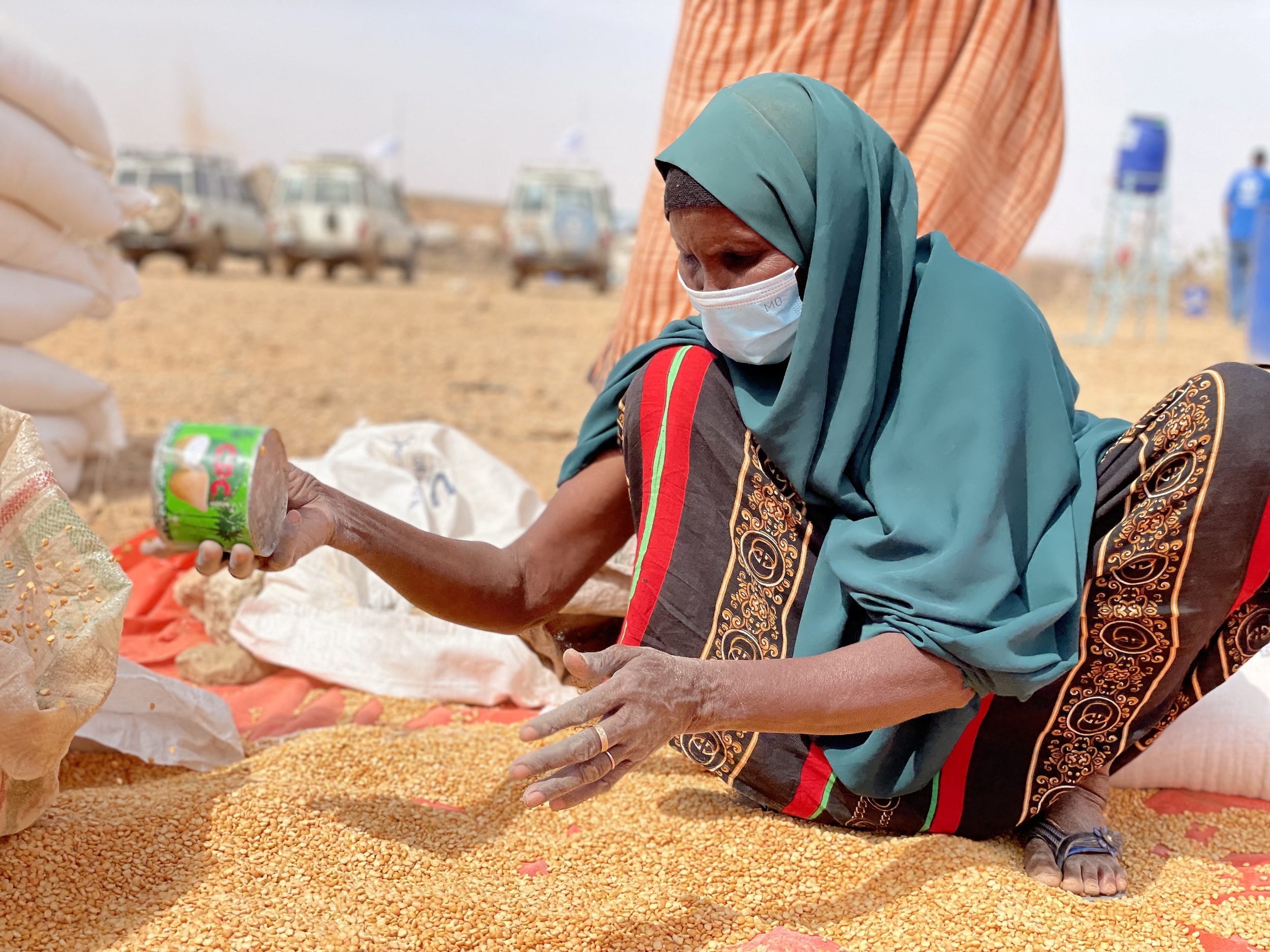 woman in headscarf squats to collect grain