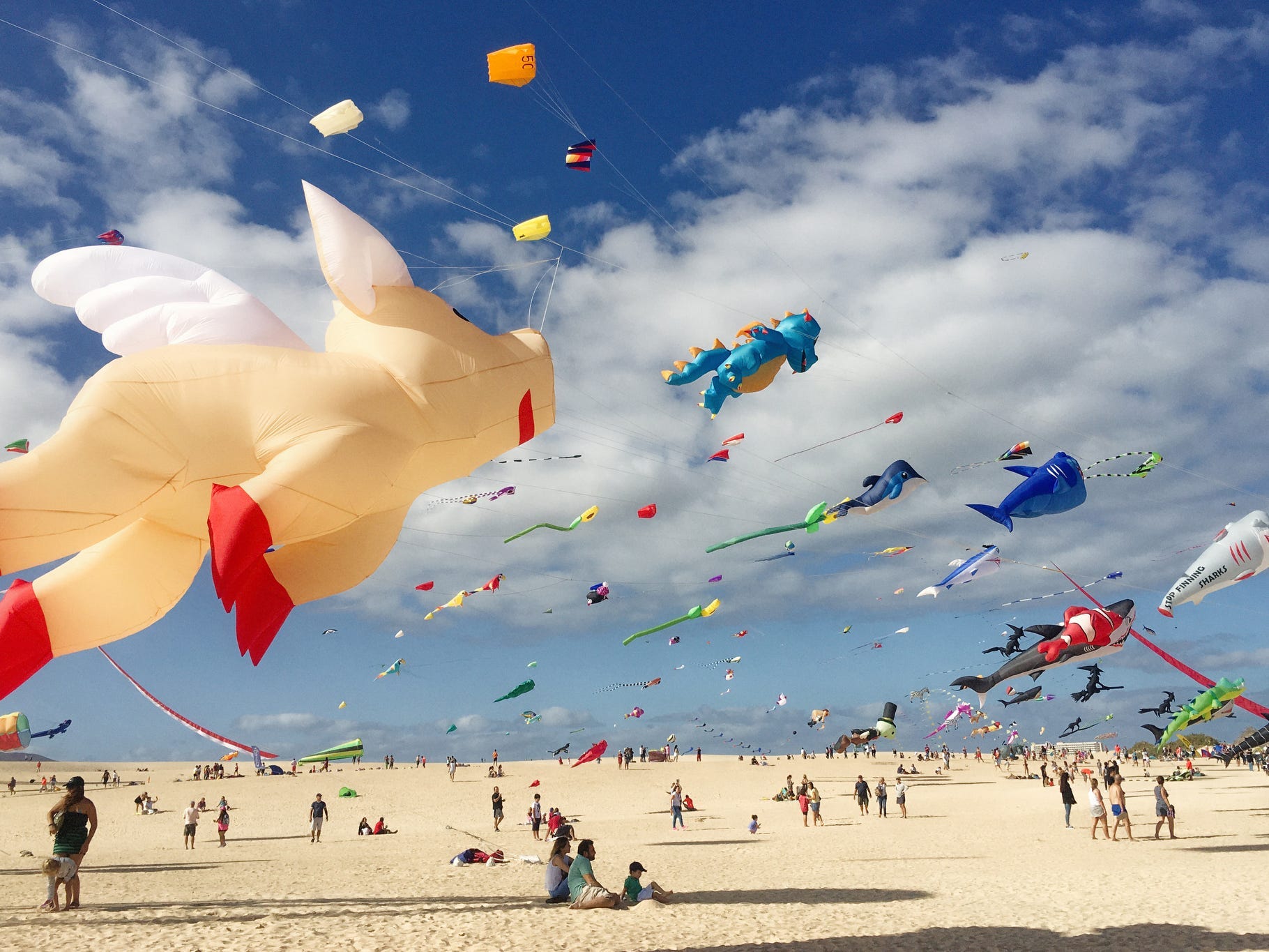 Numerous people flying various colorful kites on a beach with a flying pig kite in the foreground.