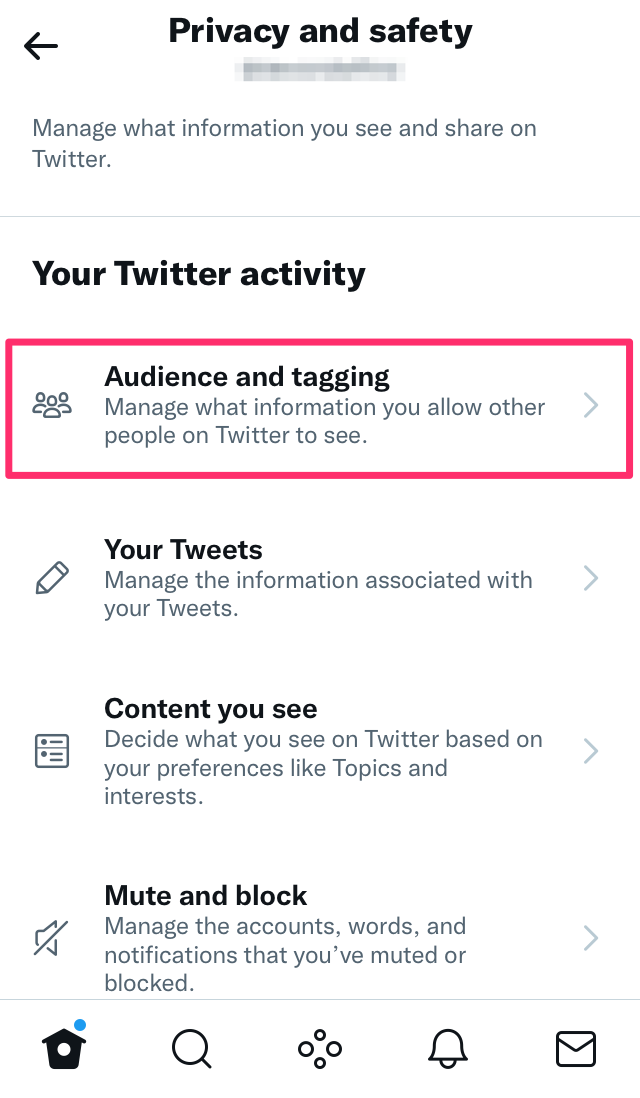 A screenshot highlighting the Audience and Tagging option in the Twitter mobile app.