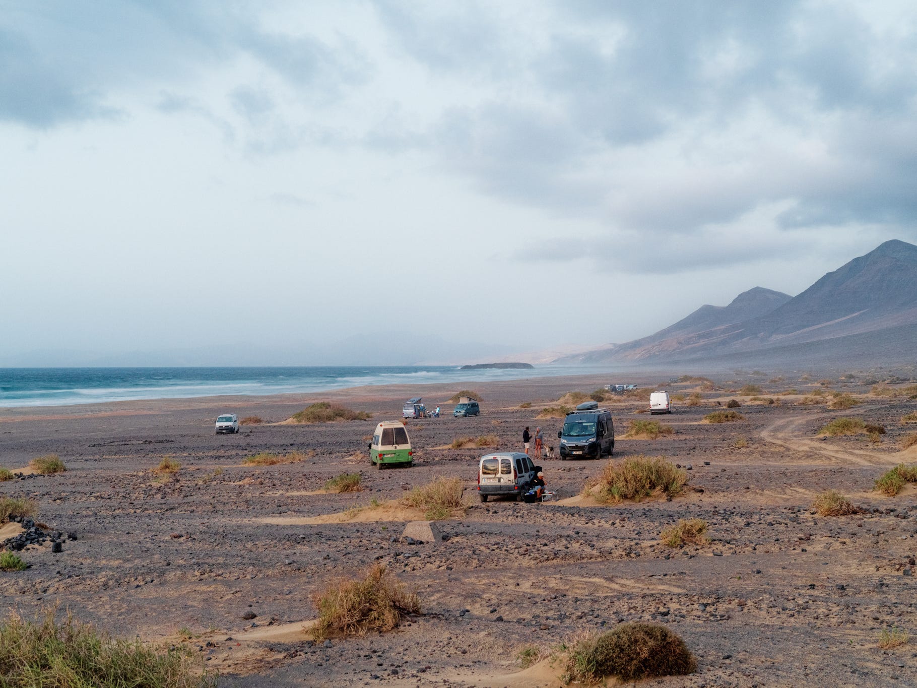 Several vans parked on large stretch of beach dotted with small bushes and the ocean in the background.