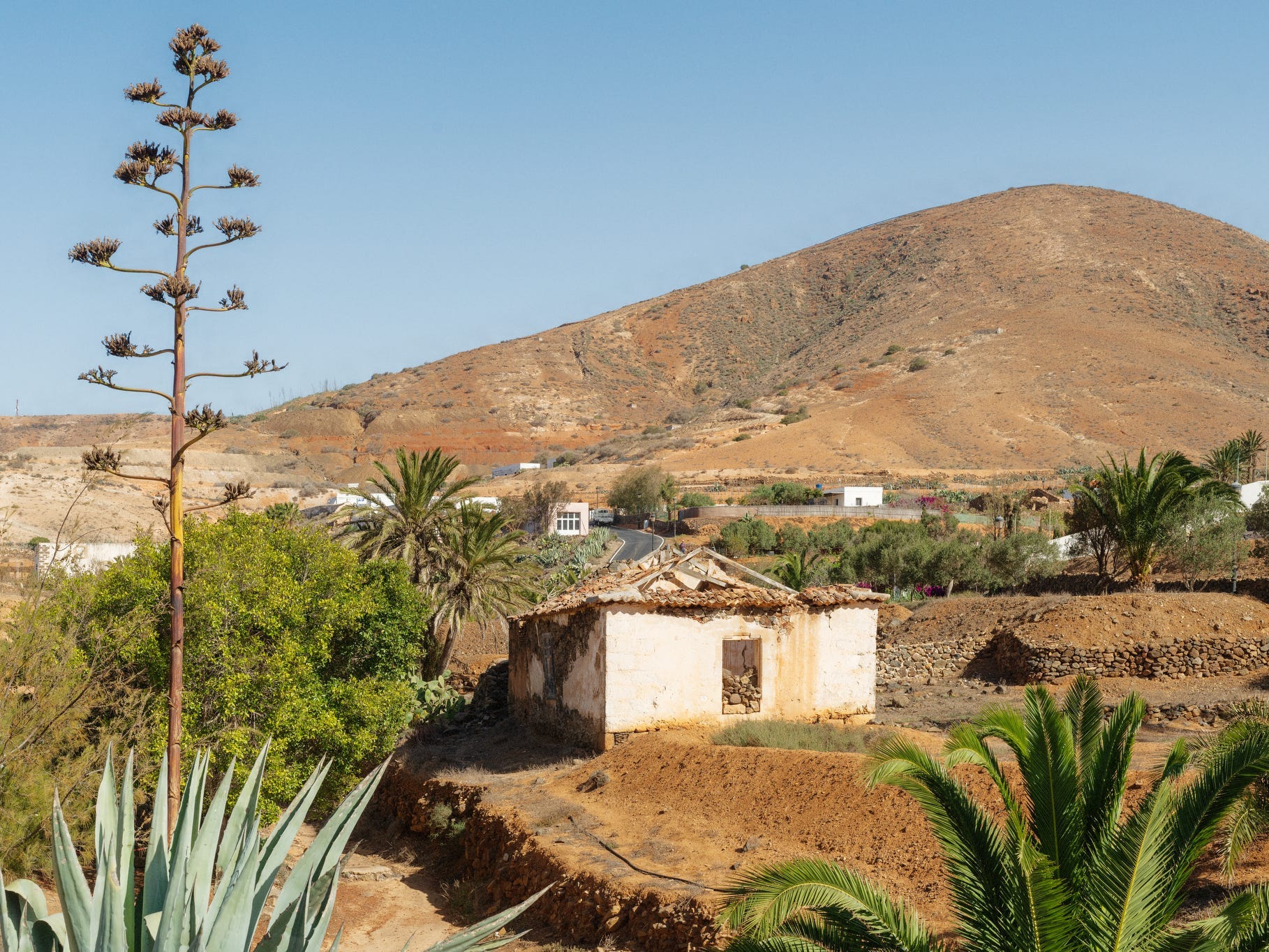 A tiny dilapidated building surrounded by shrubs and small trees in front of a road leading back to a bare mountain.