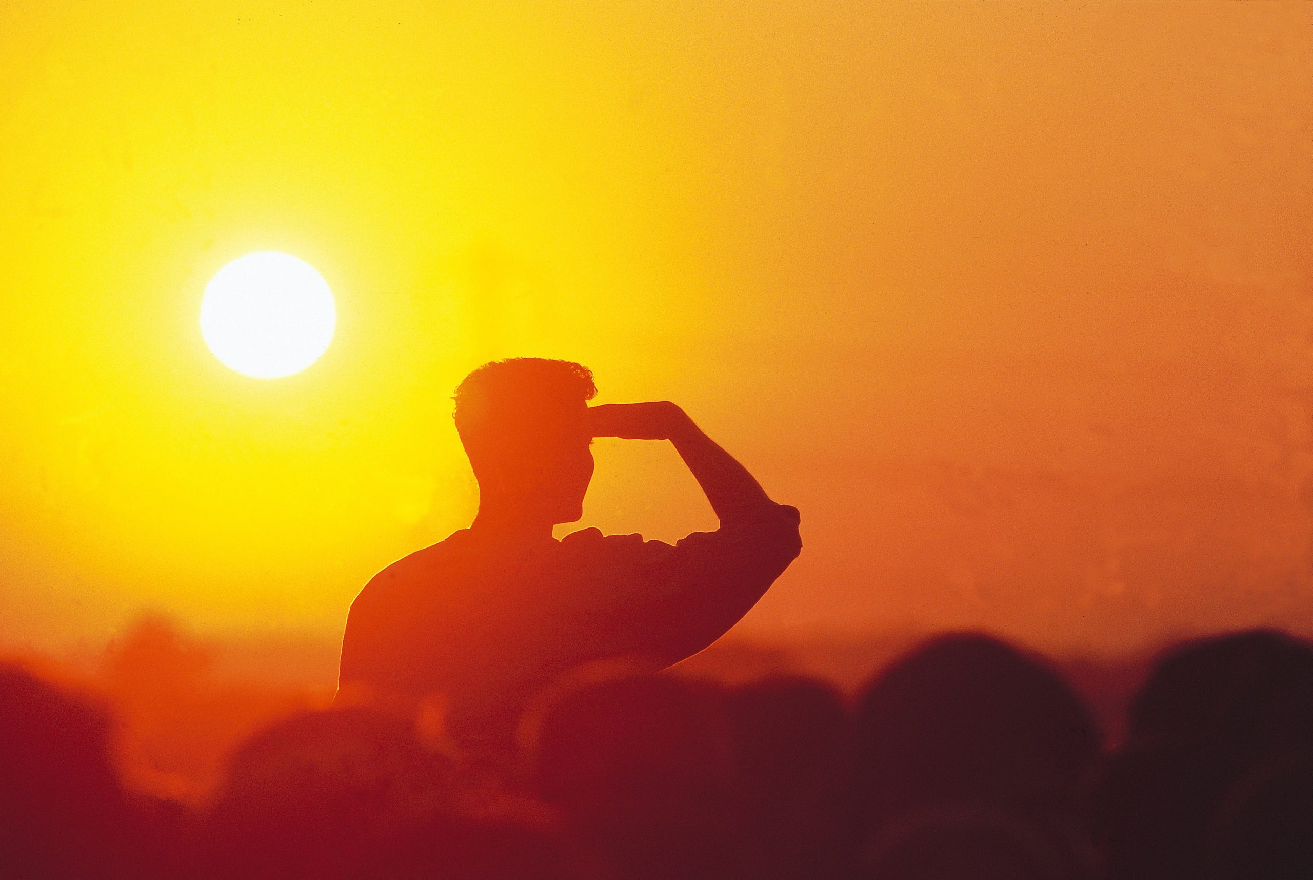 concert fan sunset