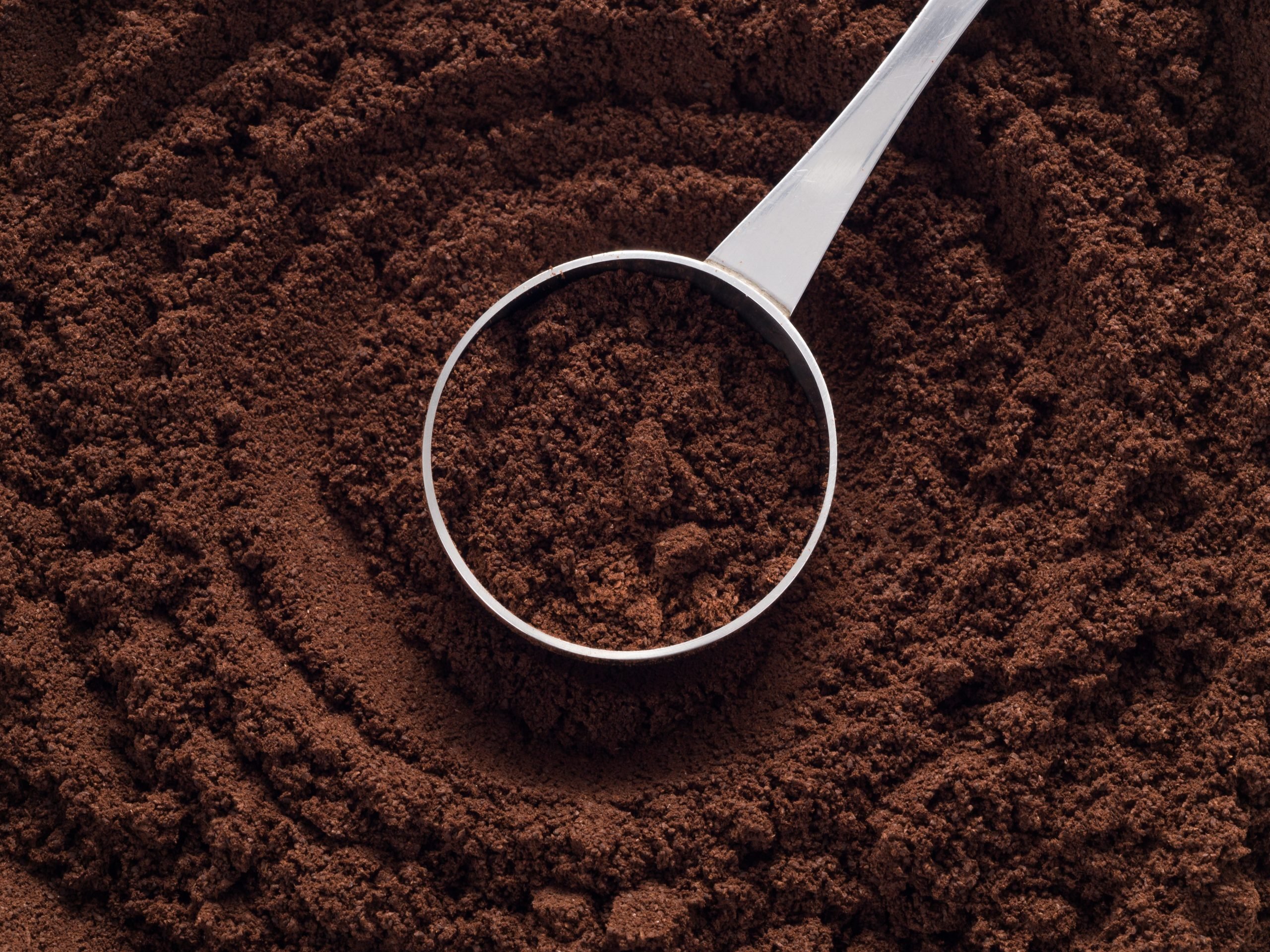 Stock image of ground coffee.