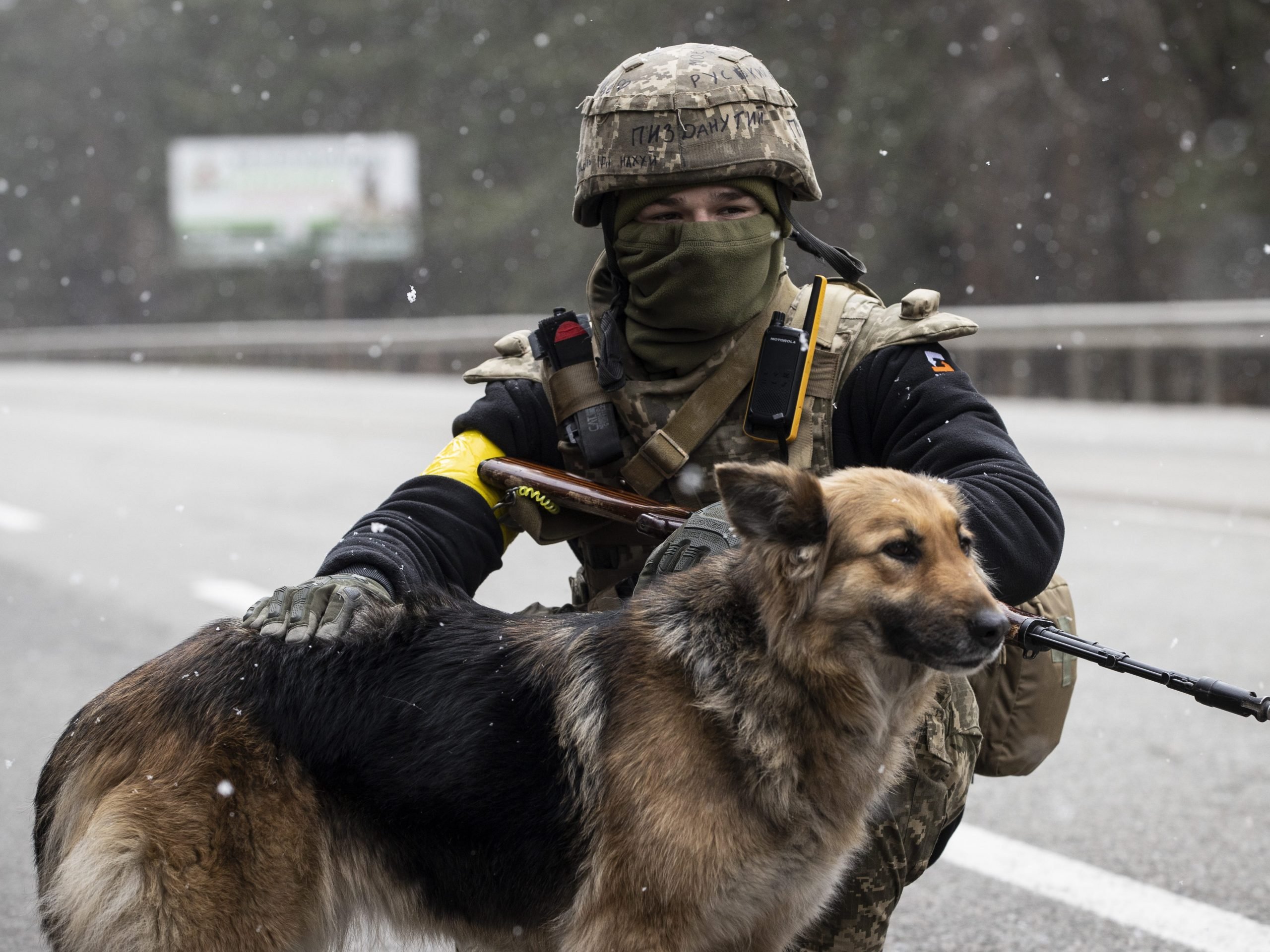 A Ukrainian soldier strokes a stray dog as they are setting security precautions during civilians' evacuation throughout ongoing Russian attacks on Ukraine, in Irpin.