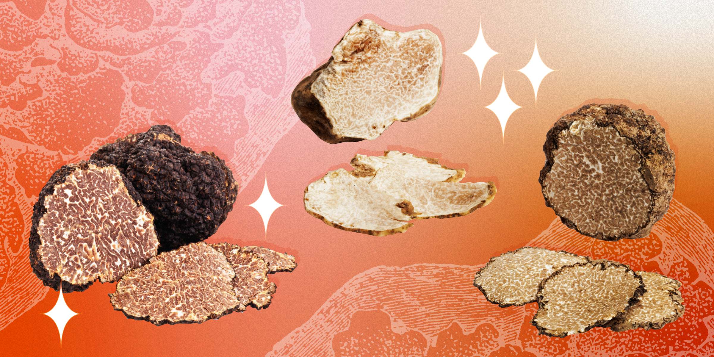 burgundy, white and black truffle varieties on an orange background with a faint fungus illustration, and white sparkles