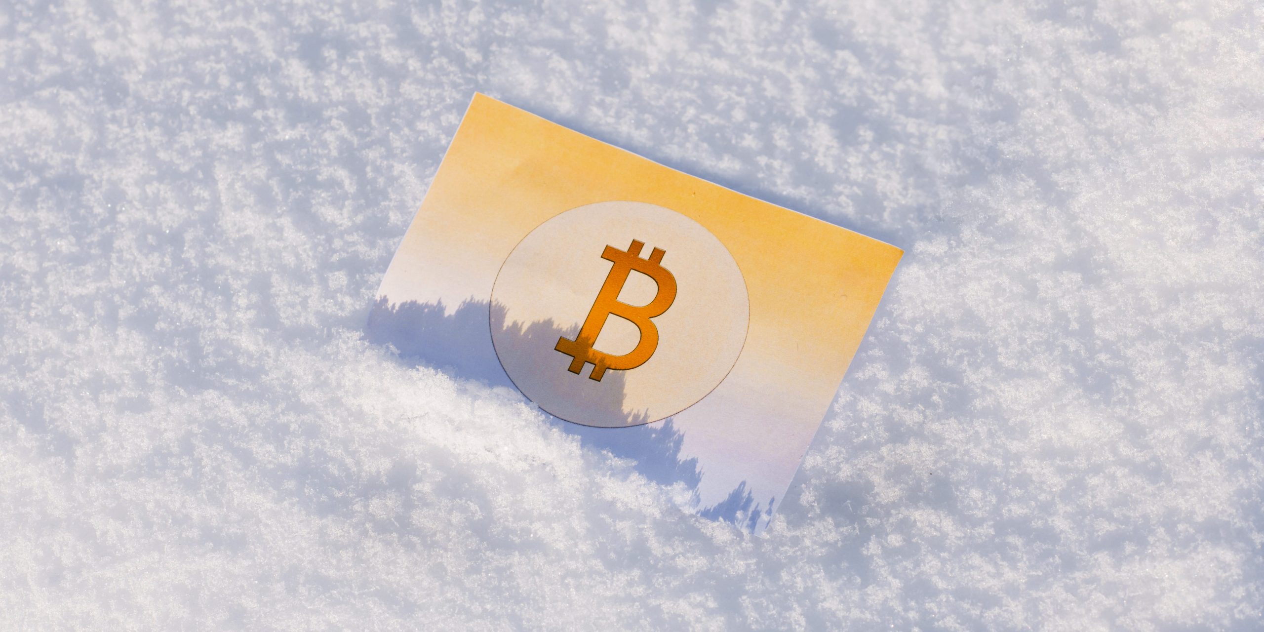 Bitcoin crypto winter