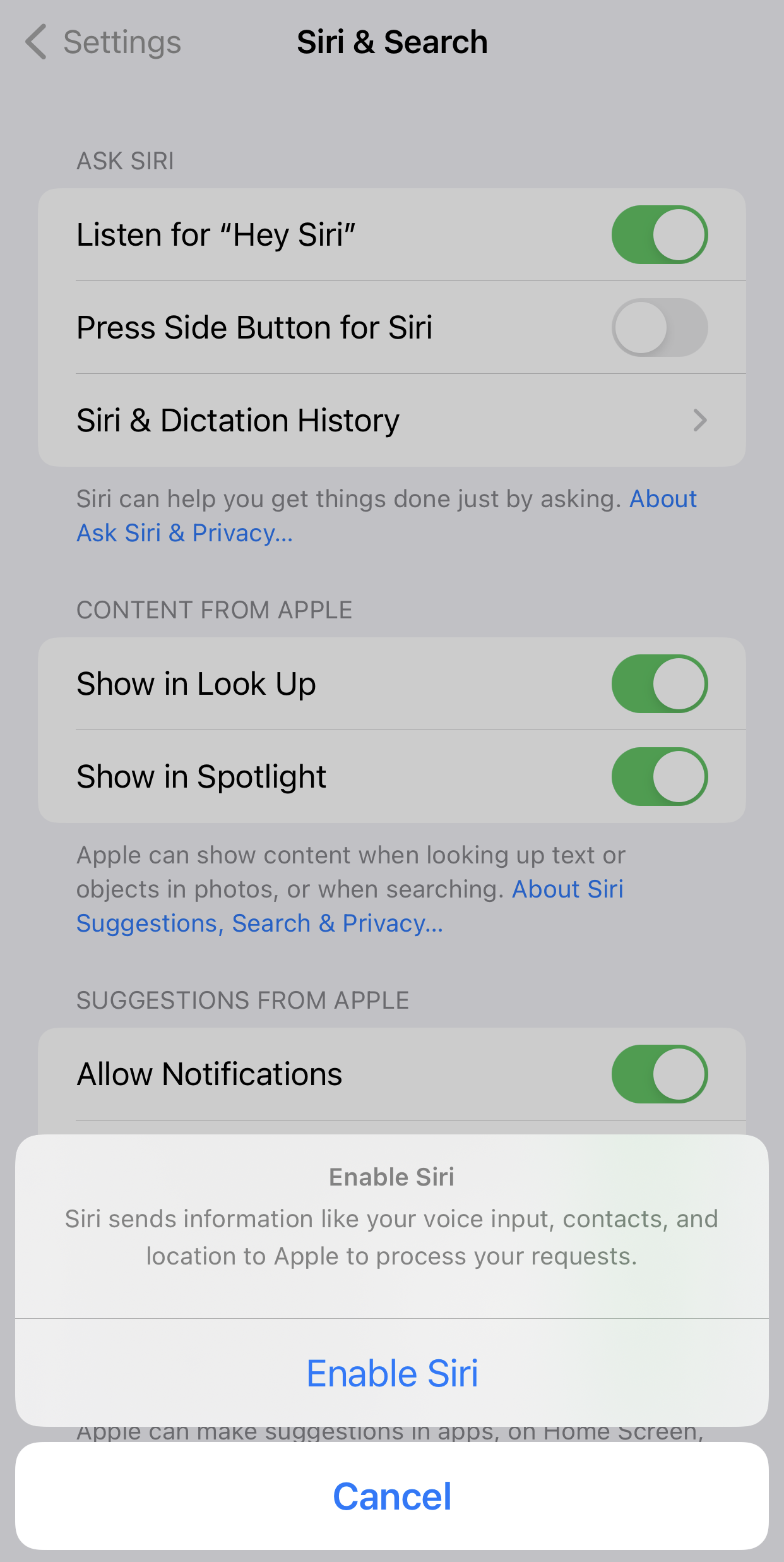 Siri settings on iOS