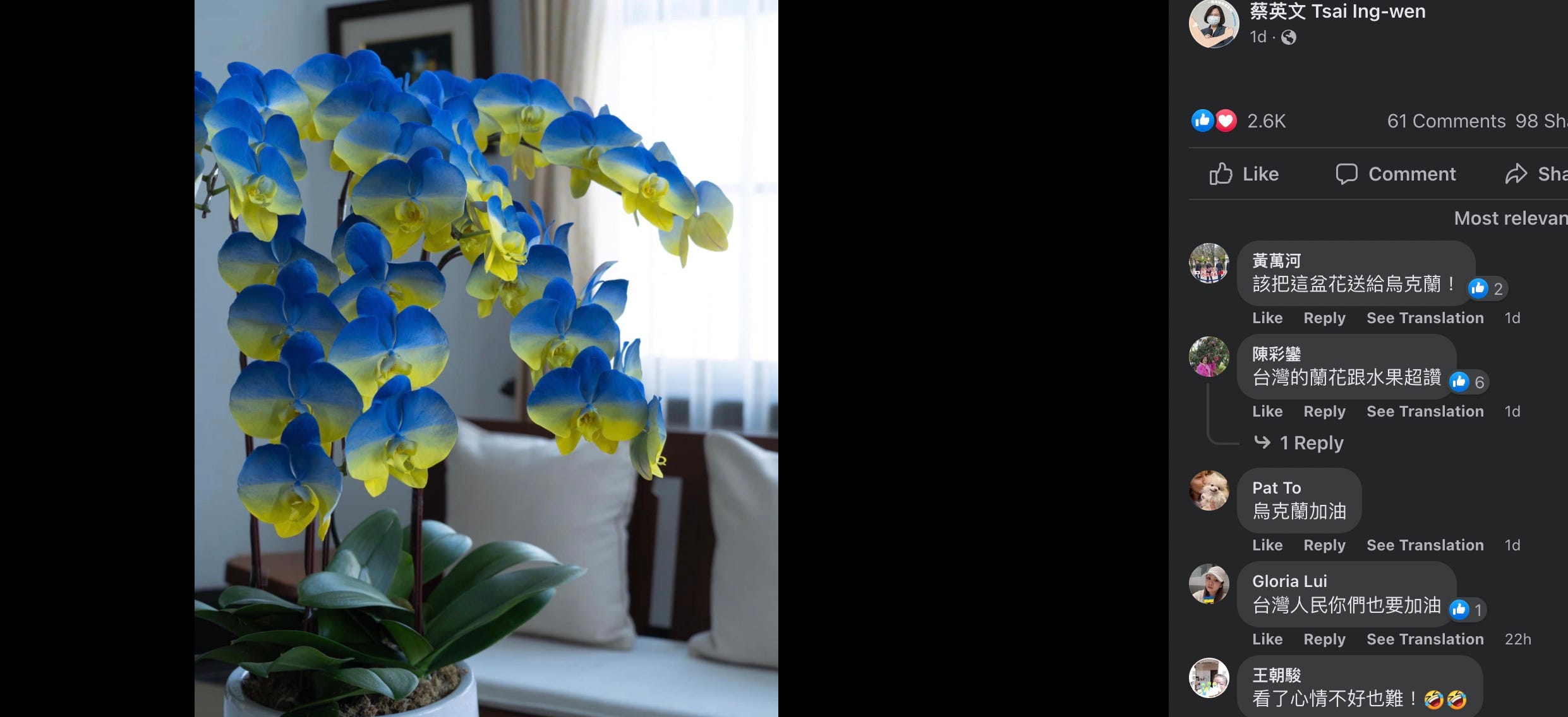 Taiwan orchids with Ukrainian flag colors