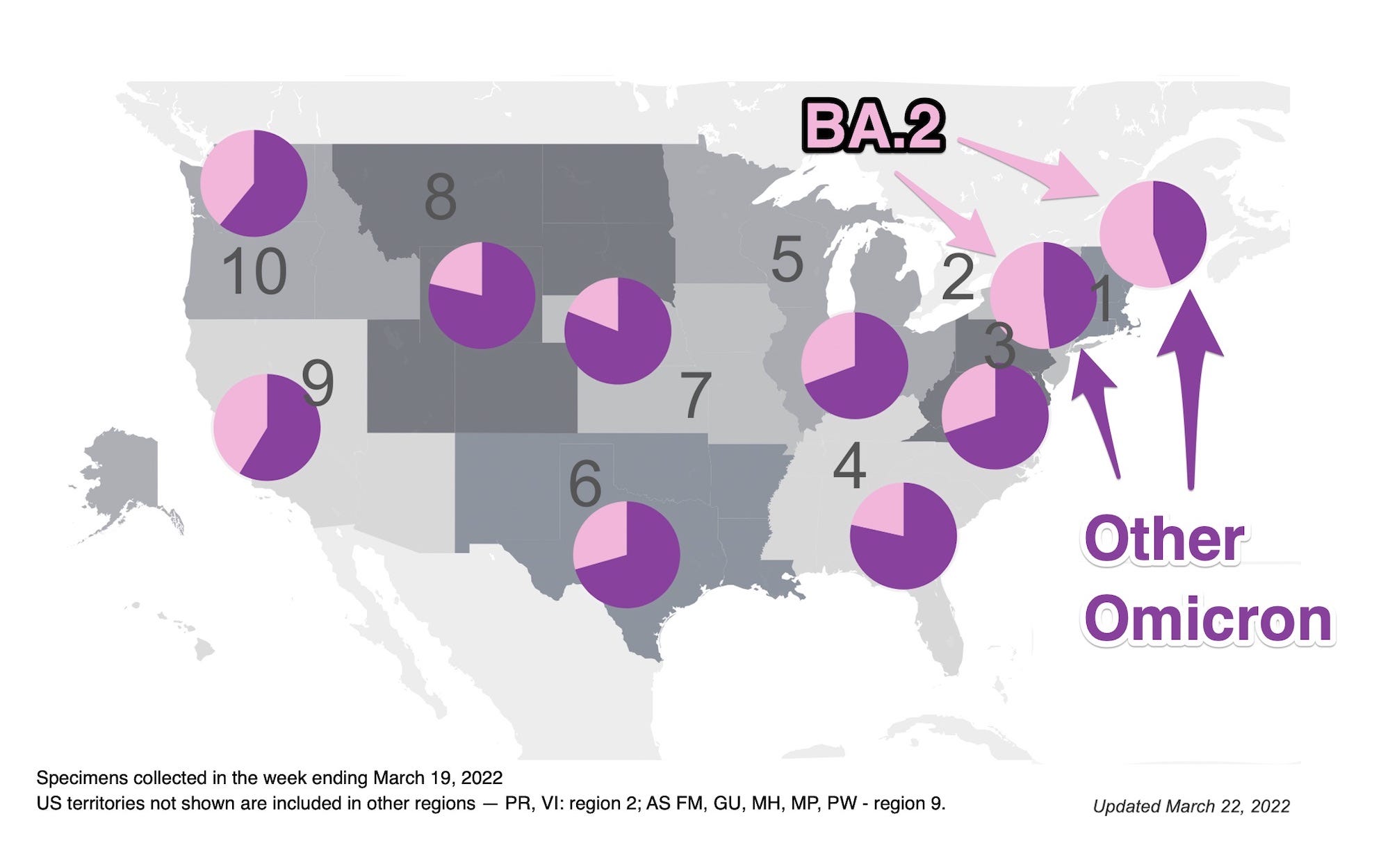 The BA.2 Omicron subvariant is now dominant in northeastern US states 