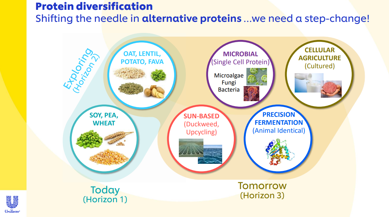 Unilever wil op den duur vlees vervangen met alternatieven voor dierlijke eiwitten. Denk aan eiwitten gemaakt door algen, schimmels, fermentatie en kweek. Foto Unilever