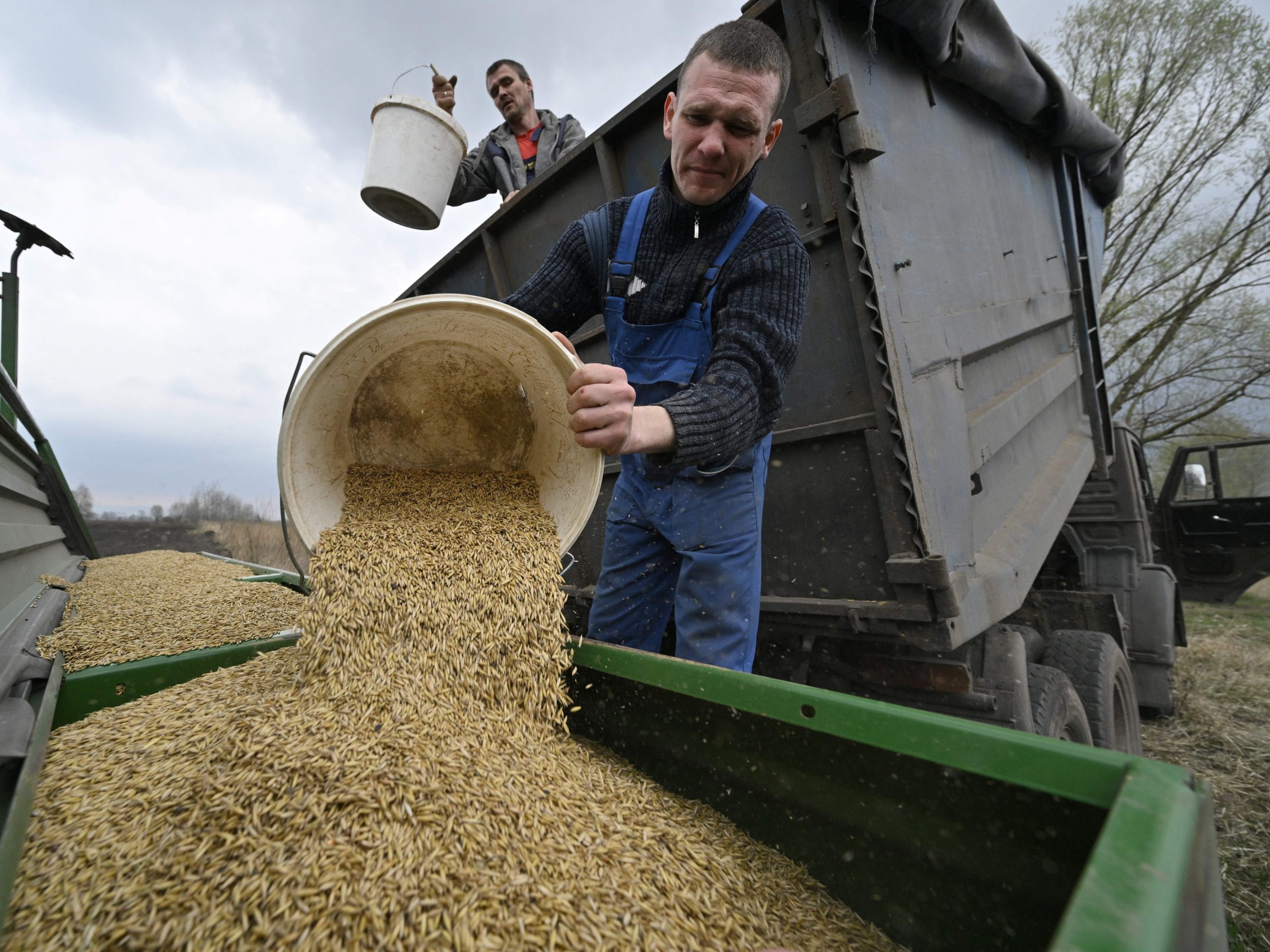 Boeren laden haver in de zaaimachine om te zaaien in een veld ten oosten van Kyiv op 16 april 2022.