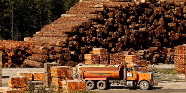 Lumber prices plunge 12% to new 2022 lows as wood inventories start to