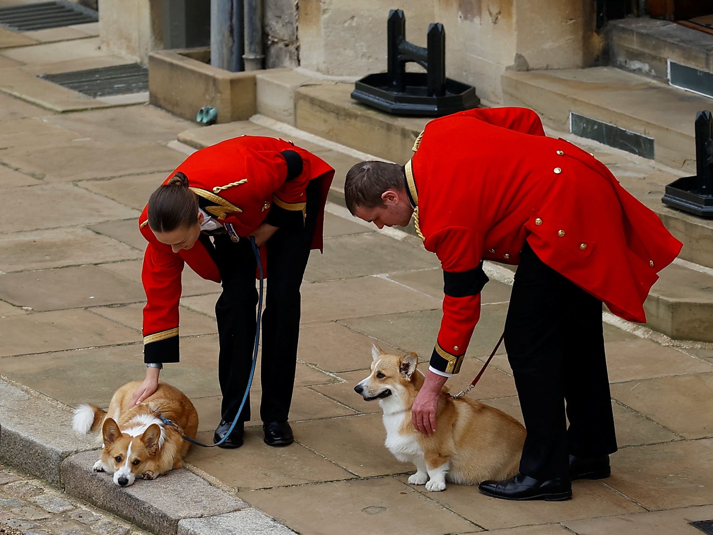 The Last of the Queen's Corgi Dynasty Has Died