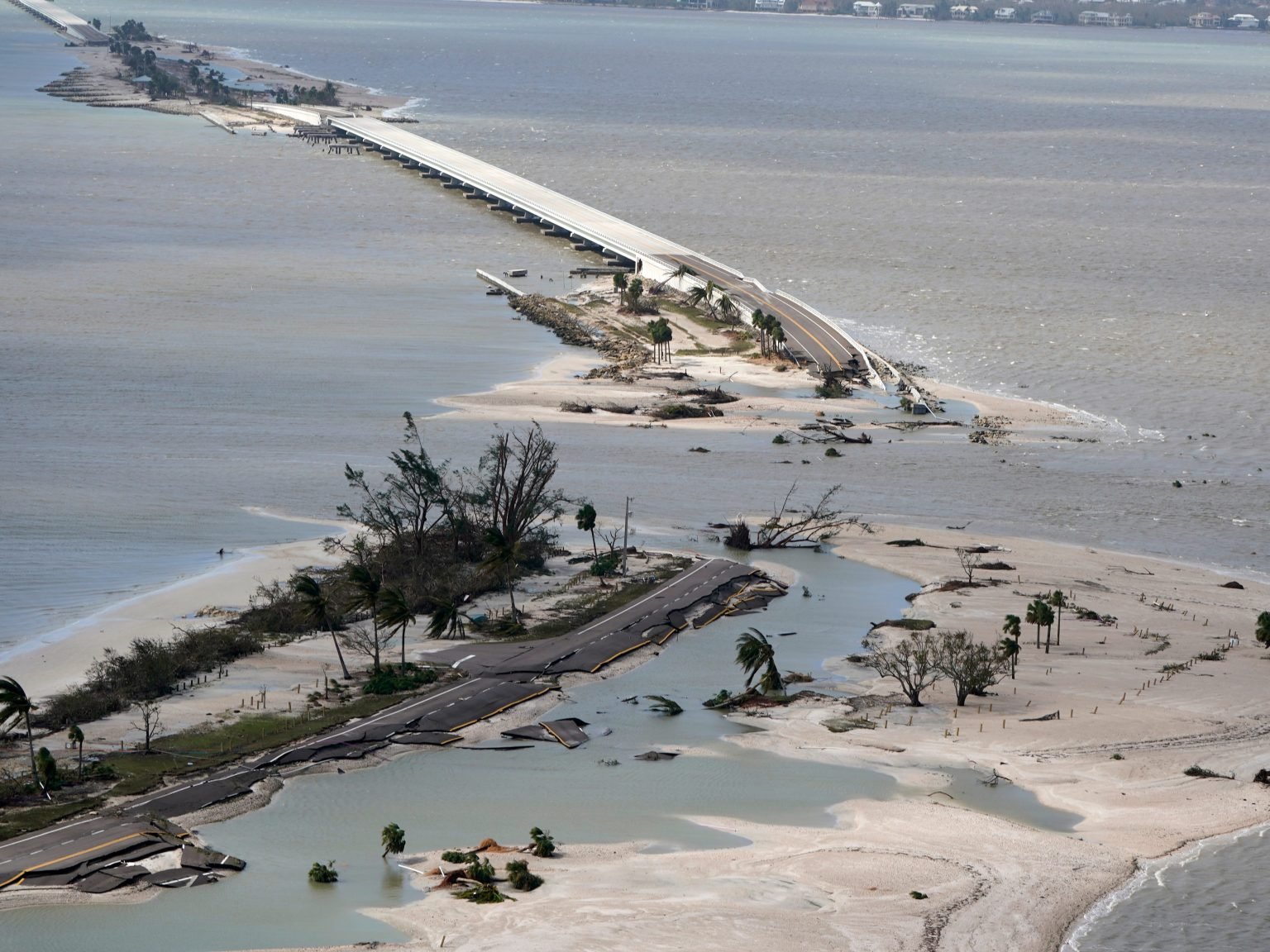 Florida Alligators And Snakes Are Swarming Around Unlivable Homes That ...