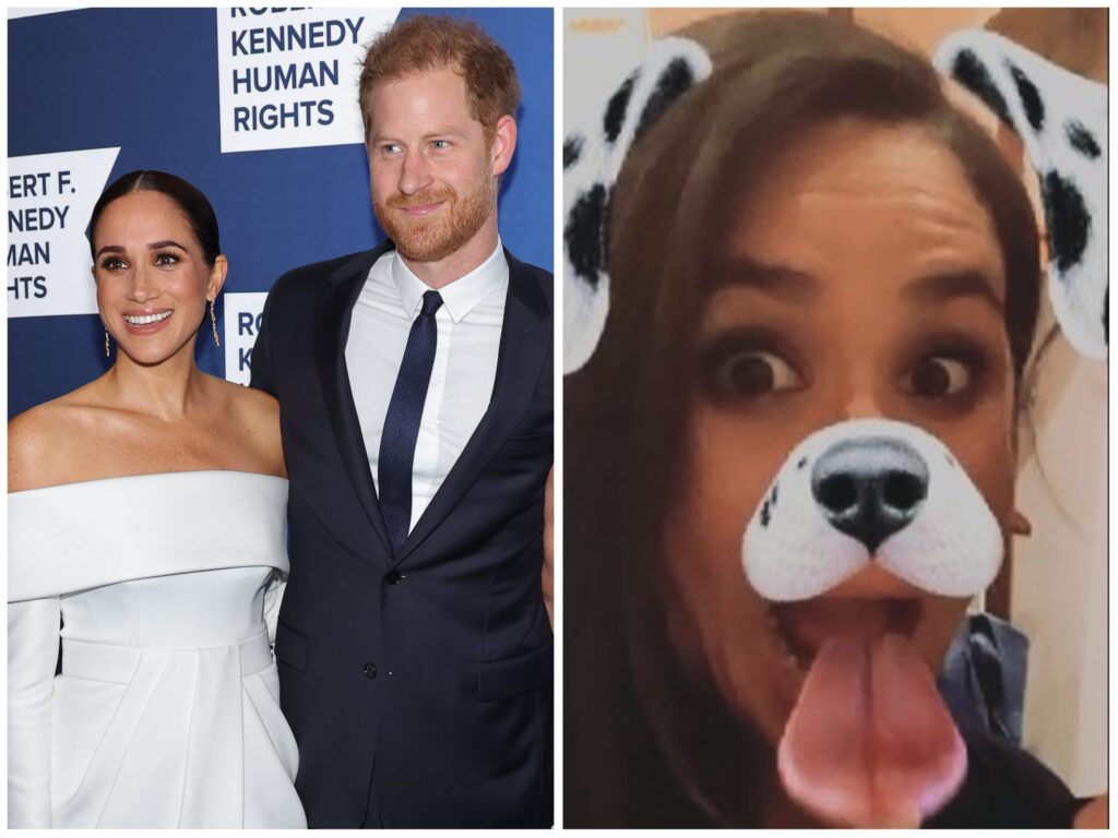 Prince Harry said he and Meghan Markle first met through Instagram after he  saw a video of her with a puppy filter