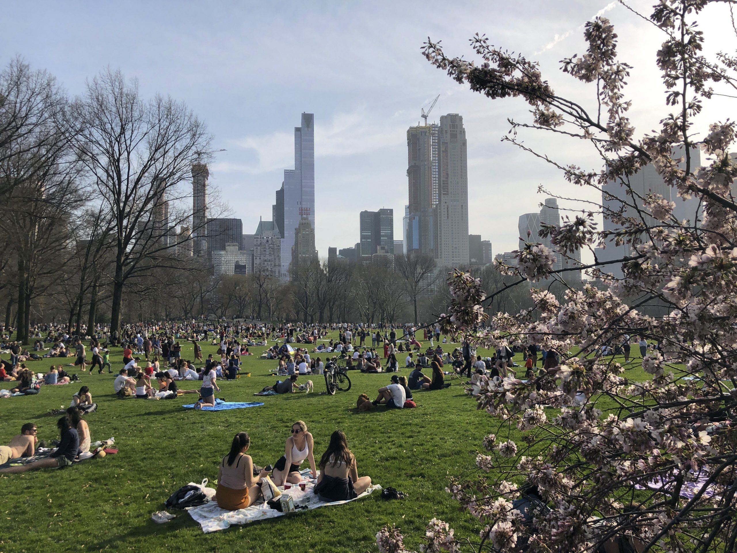 Central Park in New York op een zonnige voorjaarsdag. Foto: EPA/Jason Szenes.