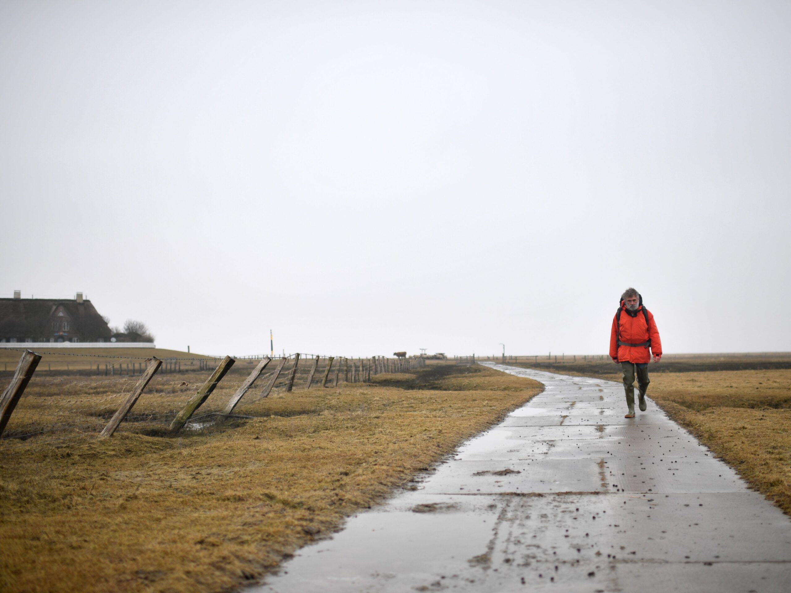 An older man wearing a red jacket walks toward the camera on a paved road running through a field.