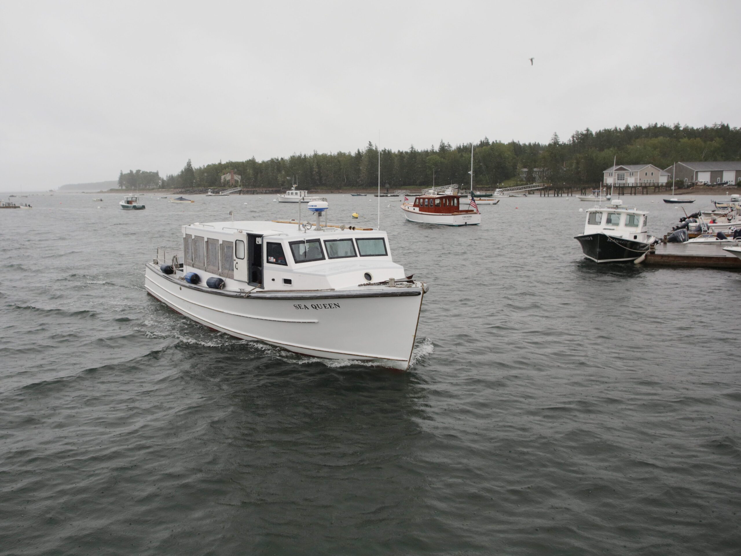 A white boat surrounded by other boats in a harbor