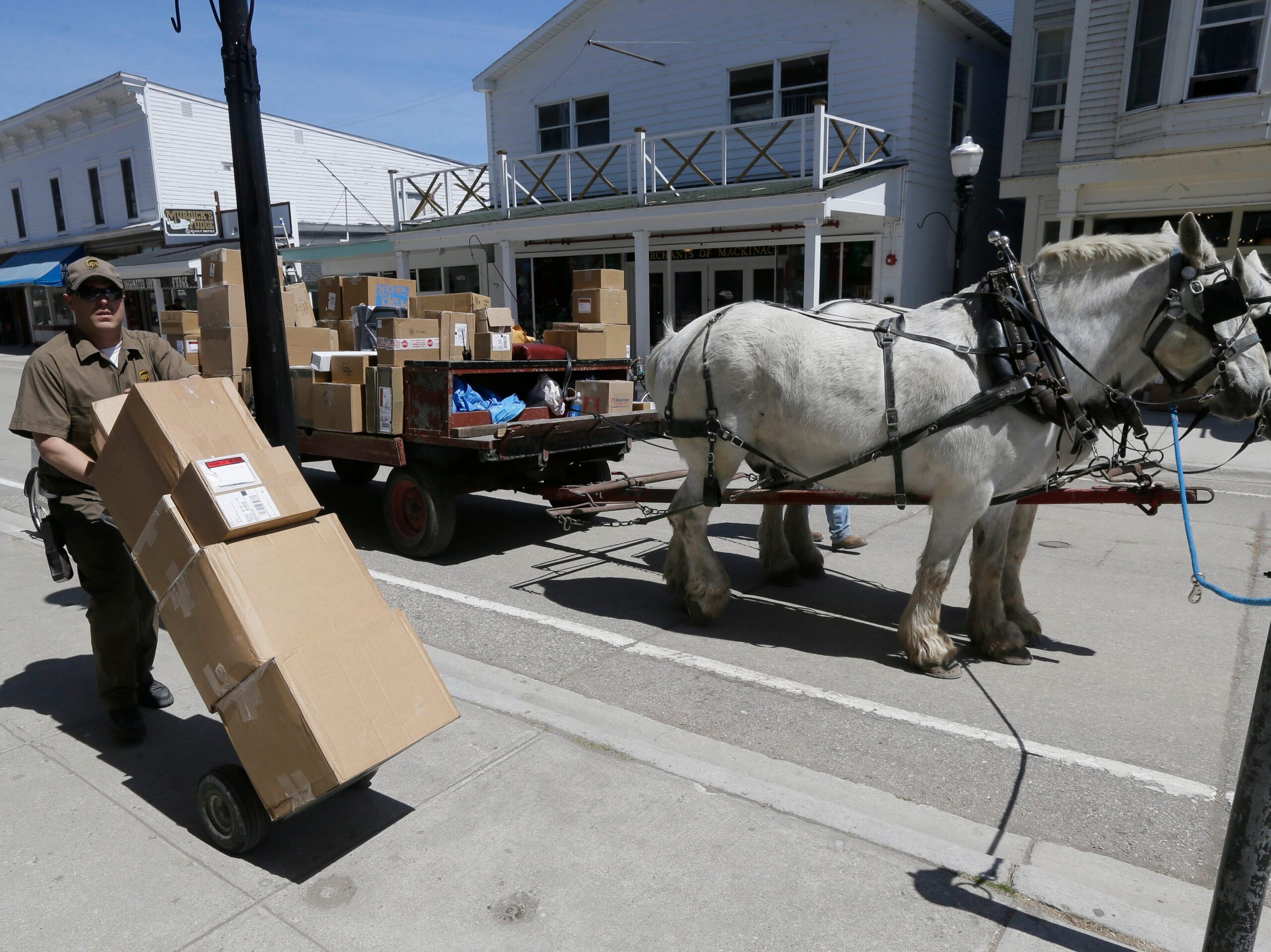 A white horse pulls a cart full of cardboard packages behind a UPS driver in a brown uniform pushing a hand truck with more packages.
