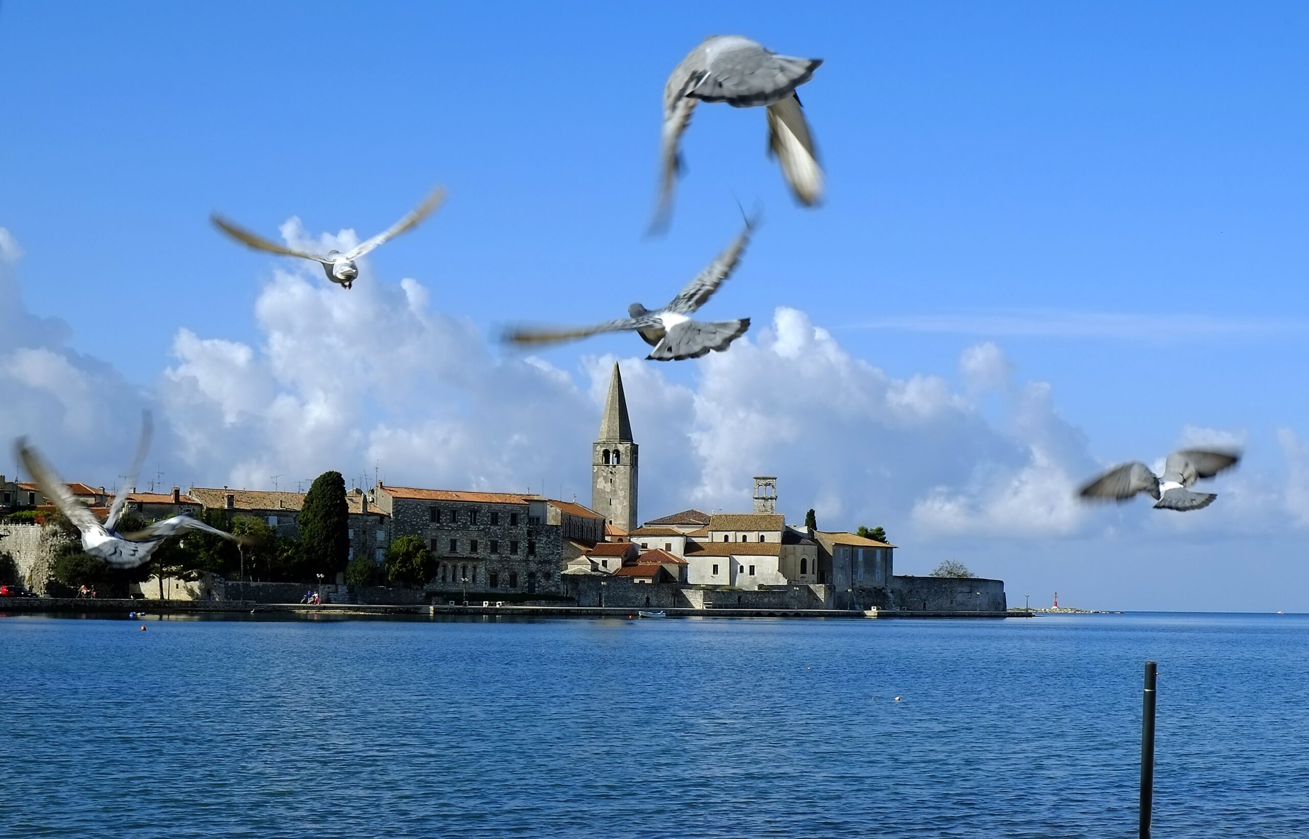 Blik op het stadje Poreč in de Kroatische regio Istrië. Foto: EPA/ANTONIO BAT